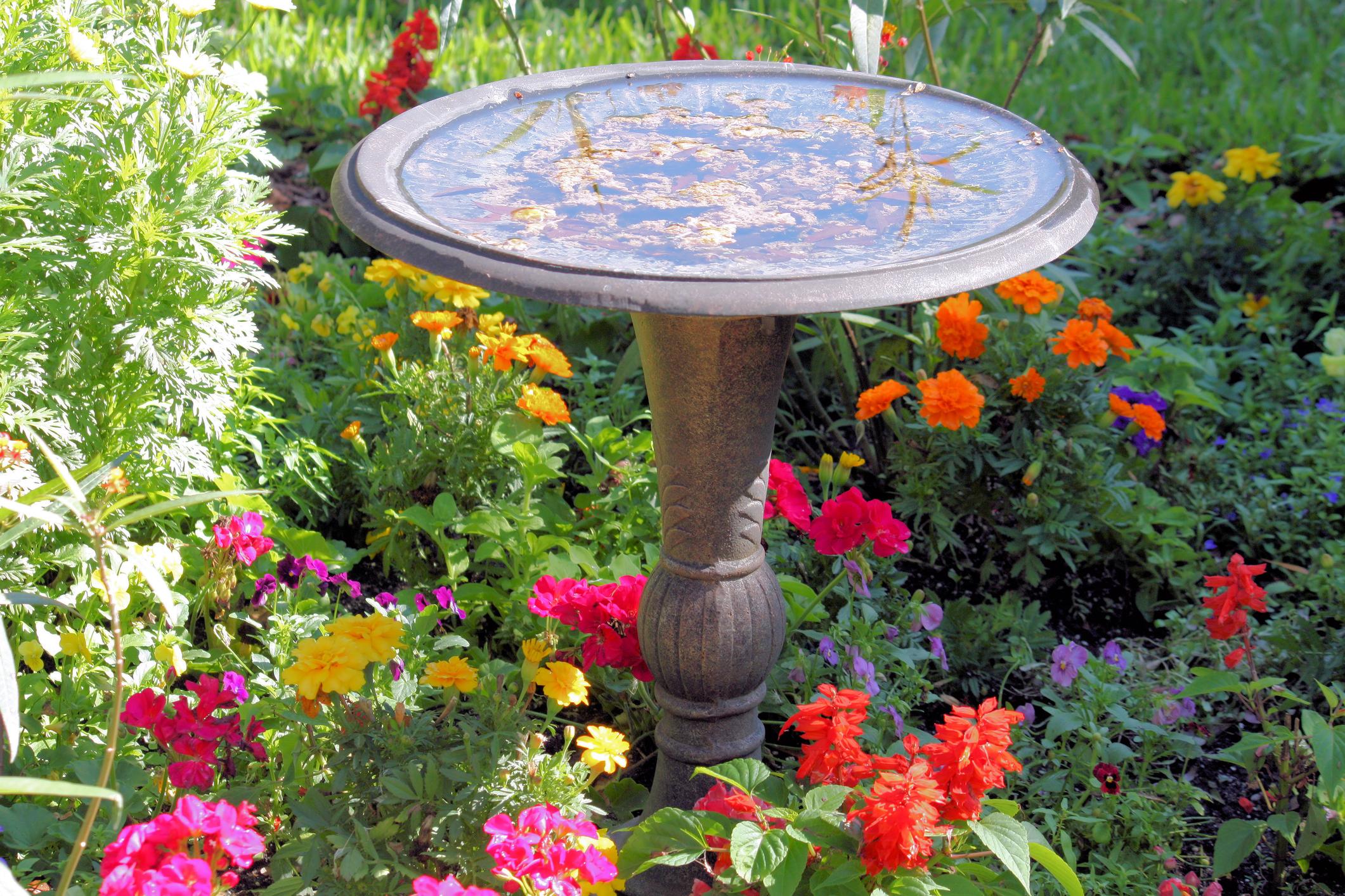 8 Additions That Can Spruce Up Your Garden This Summer