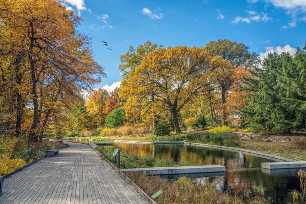 3 Real Gardens You Have to See to Believe