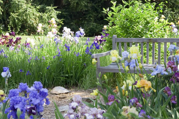 Designing Your Garden? Try These 3 Sources for Inspiration