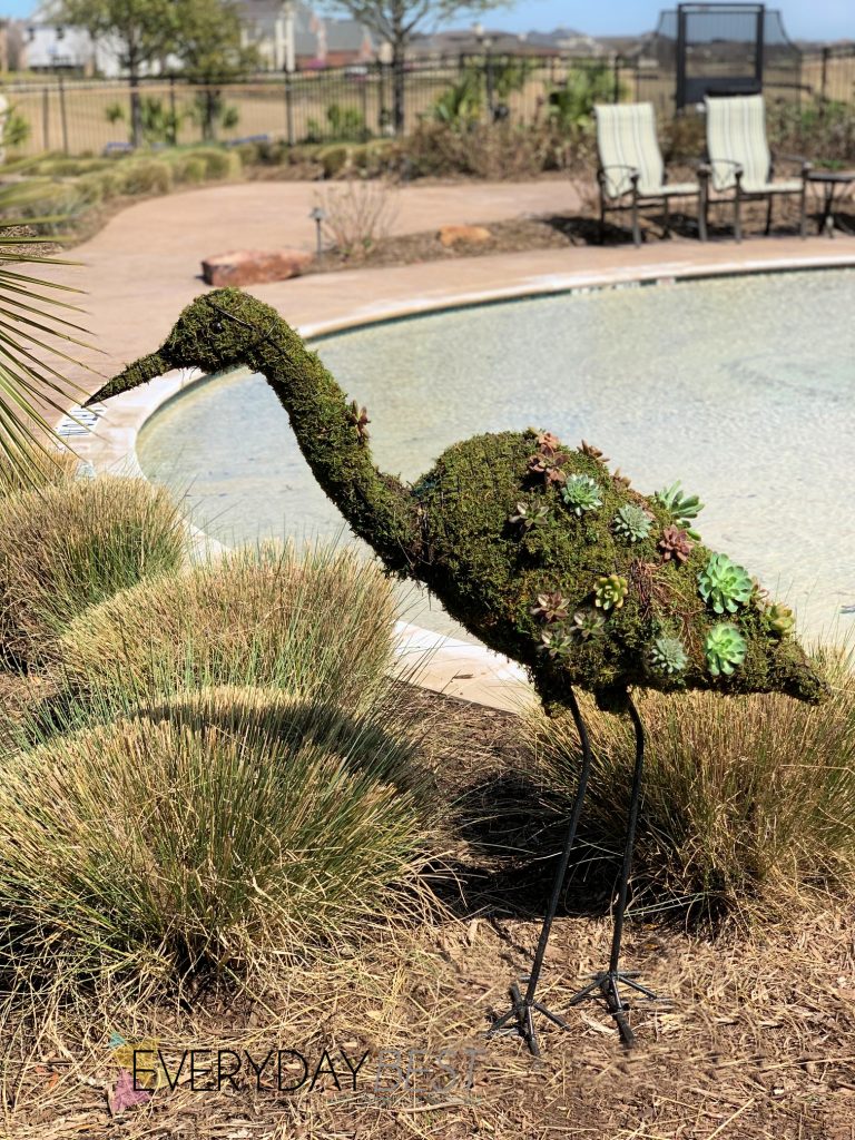 How to Make a Succulent Topiary For Your Garden