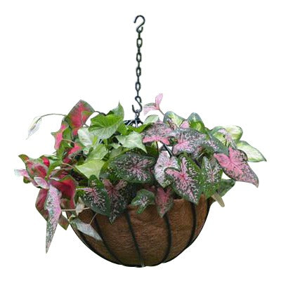 Large Hanging Basket Planters | Henderson Garden Supply