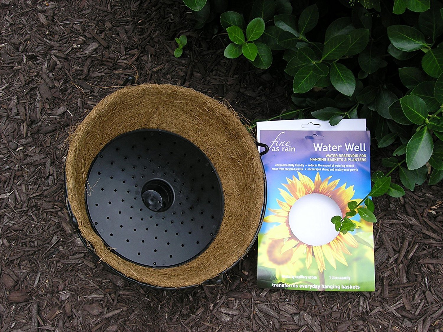 Watering and Plant Support