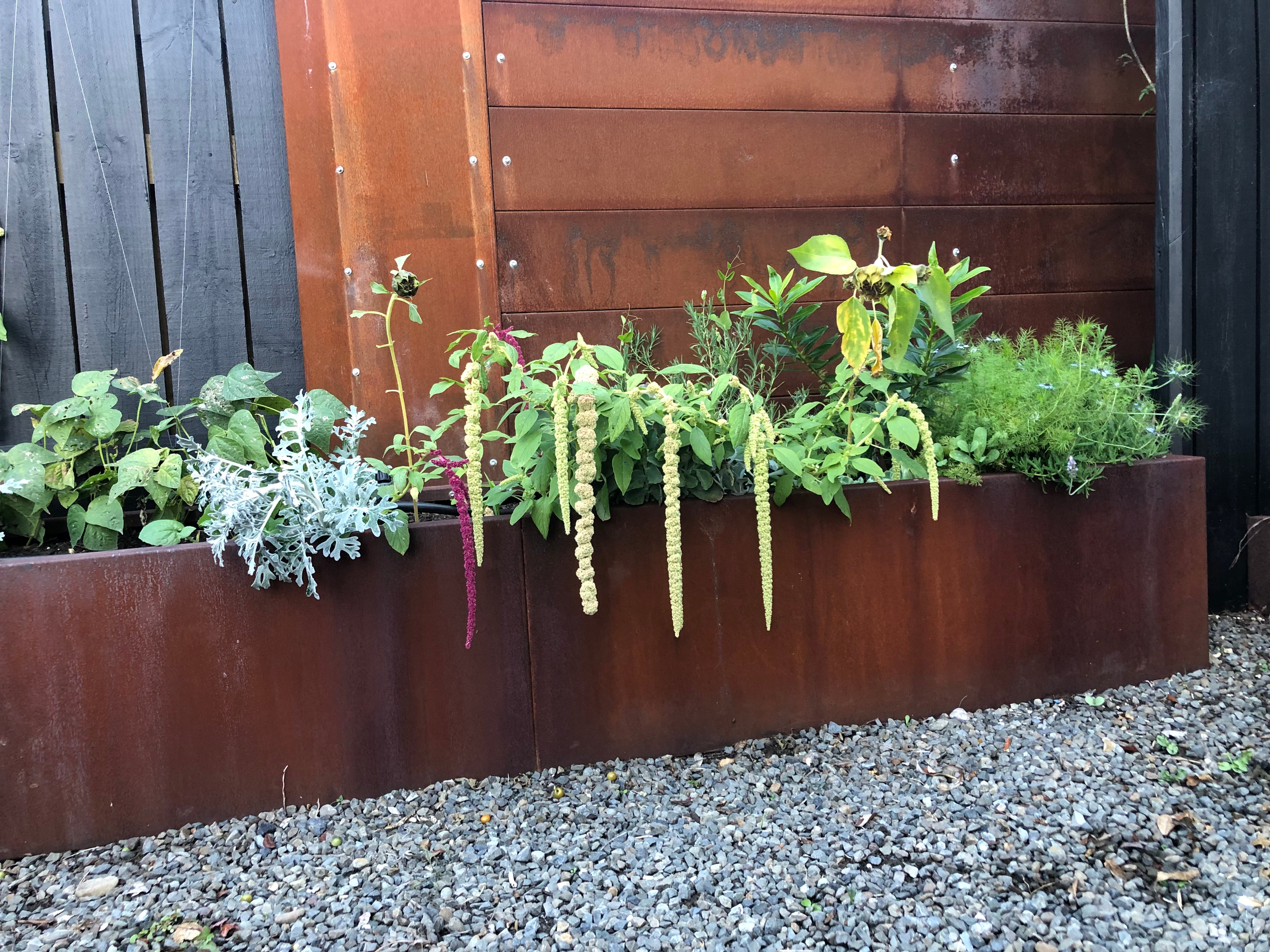 Straight Curve Modular CorTen Raised Garden Bed Planters - Henderson Garden Supply