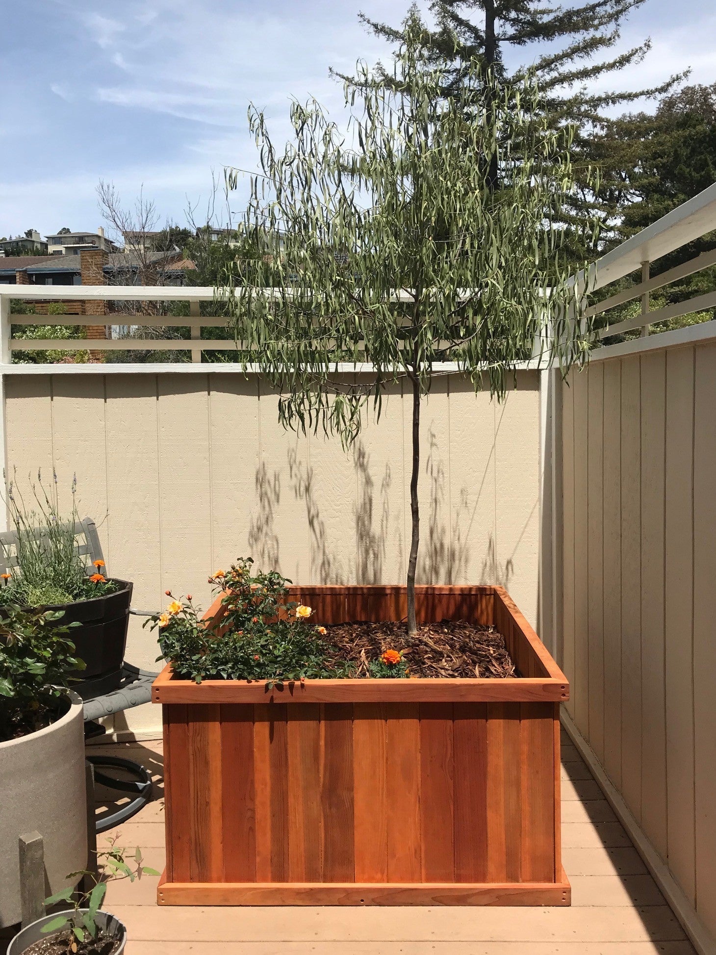 Wood Planters