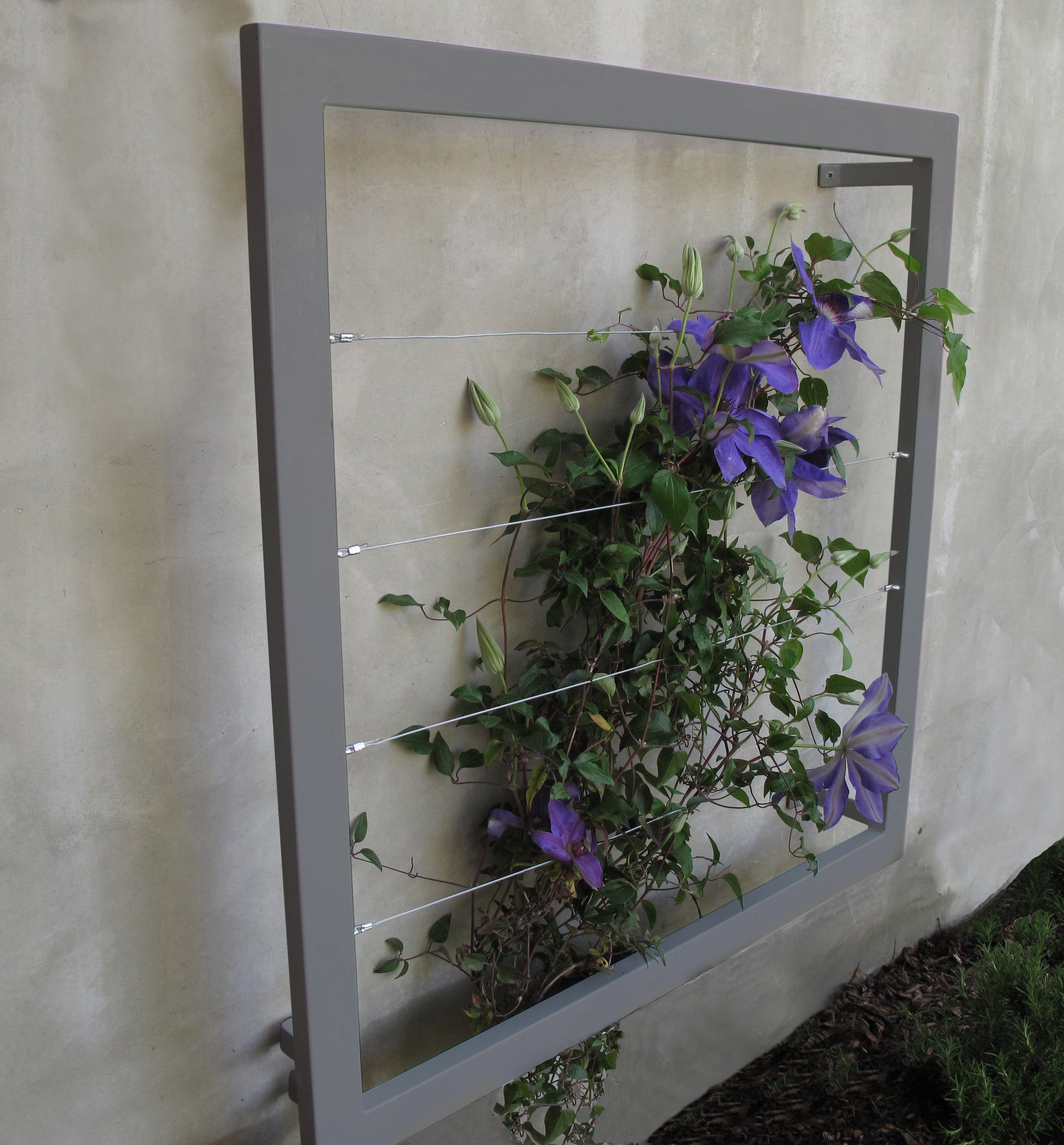 Medium Wall Trellis