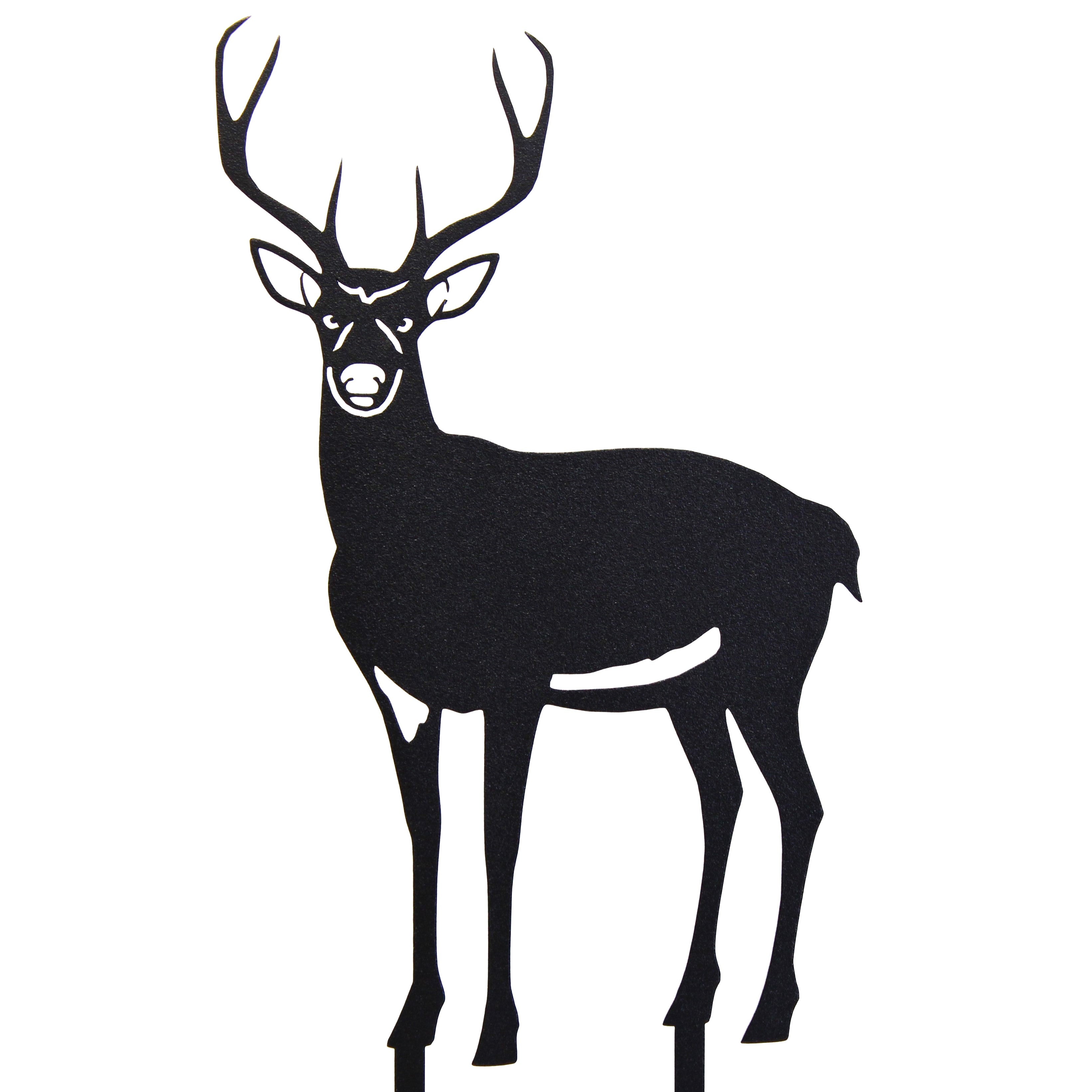 Deer - Buck