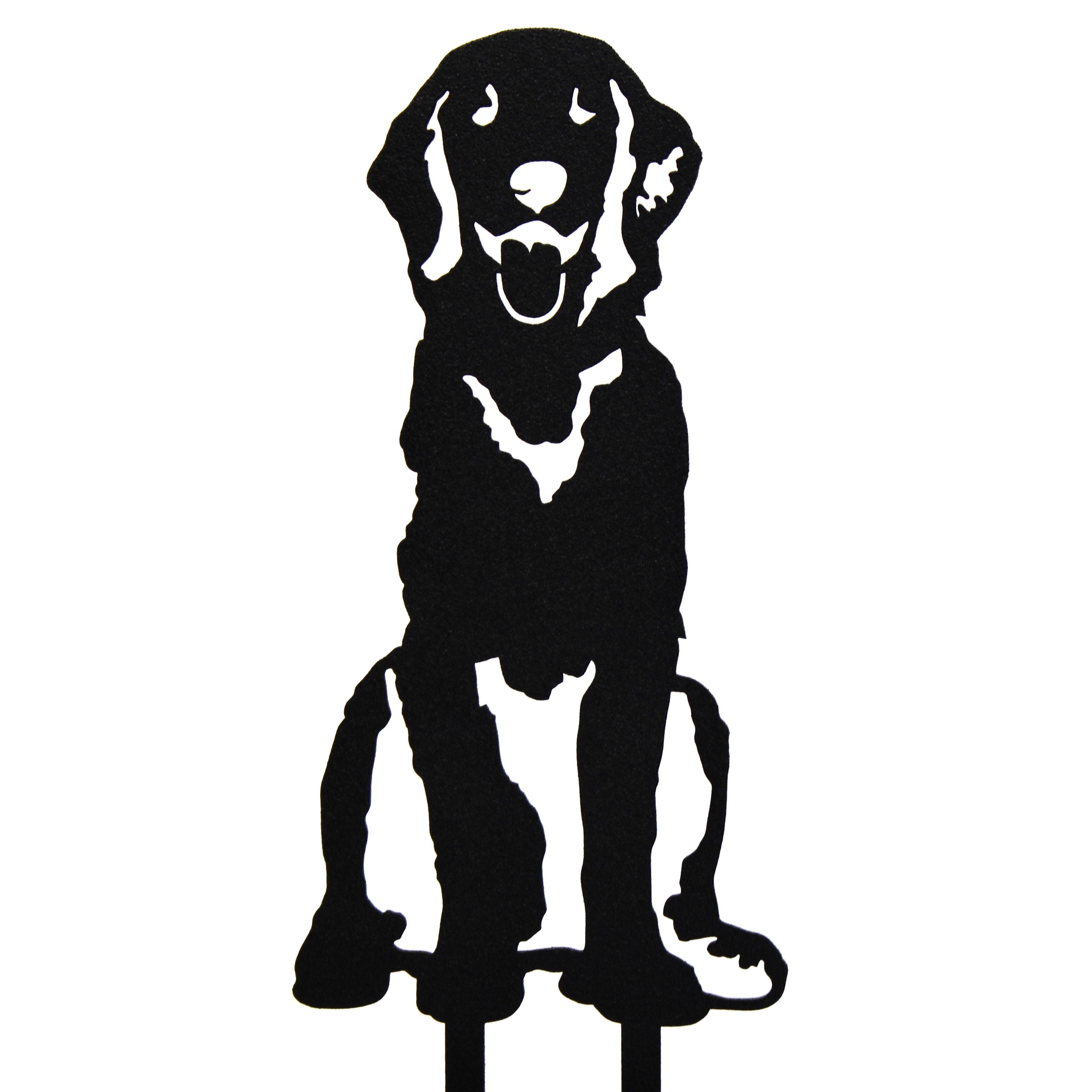 Retriever - Flat Coated