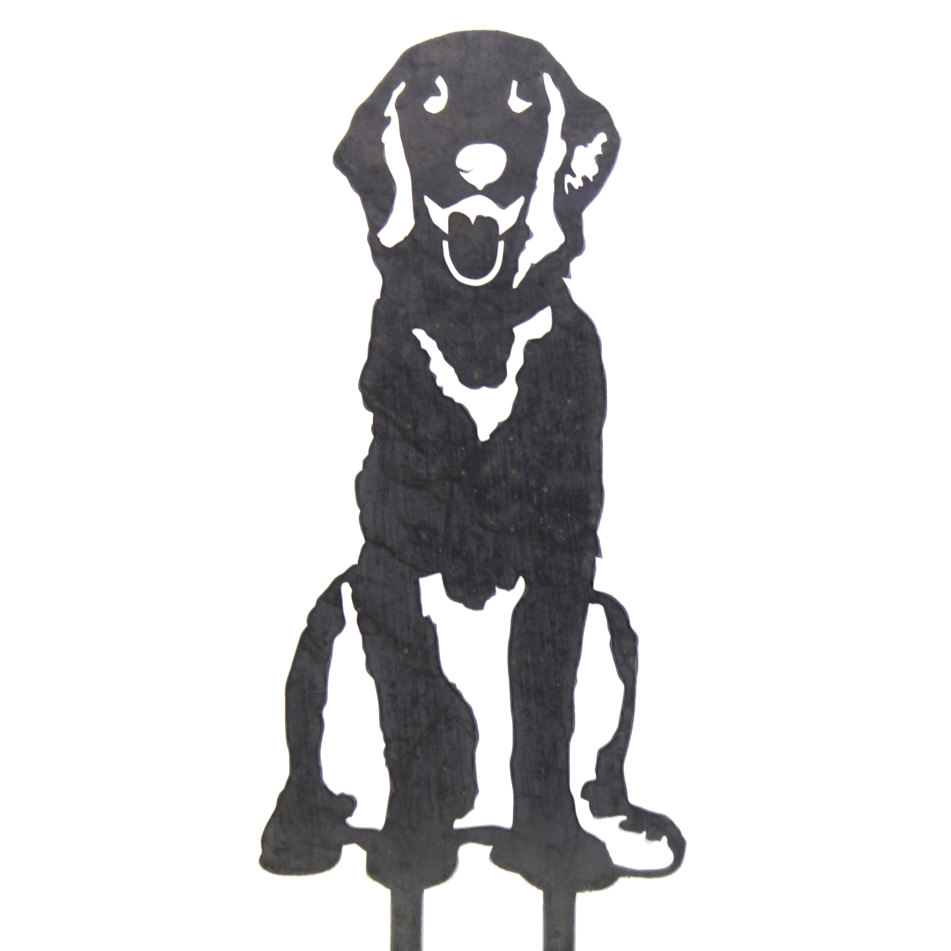 Retriever - Flat Coated