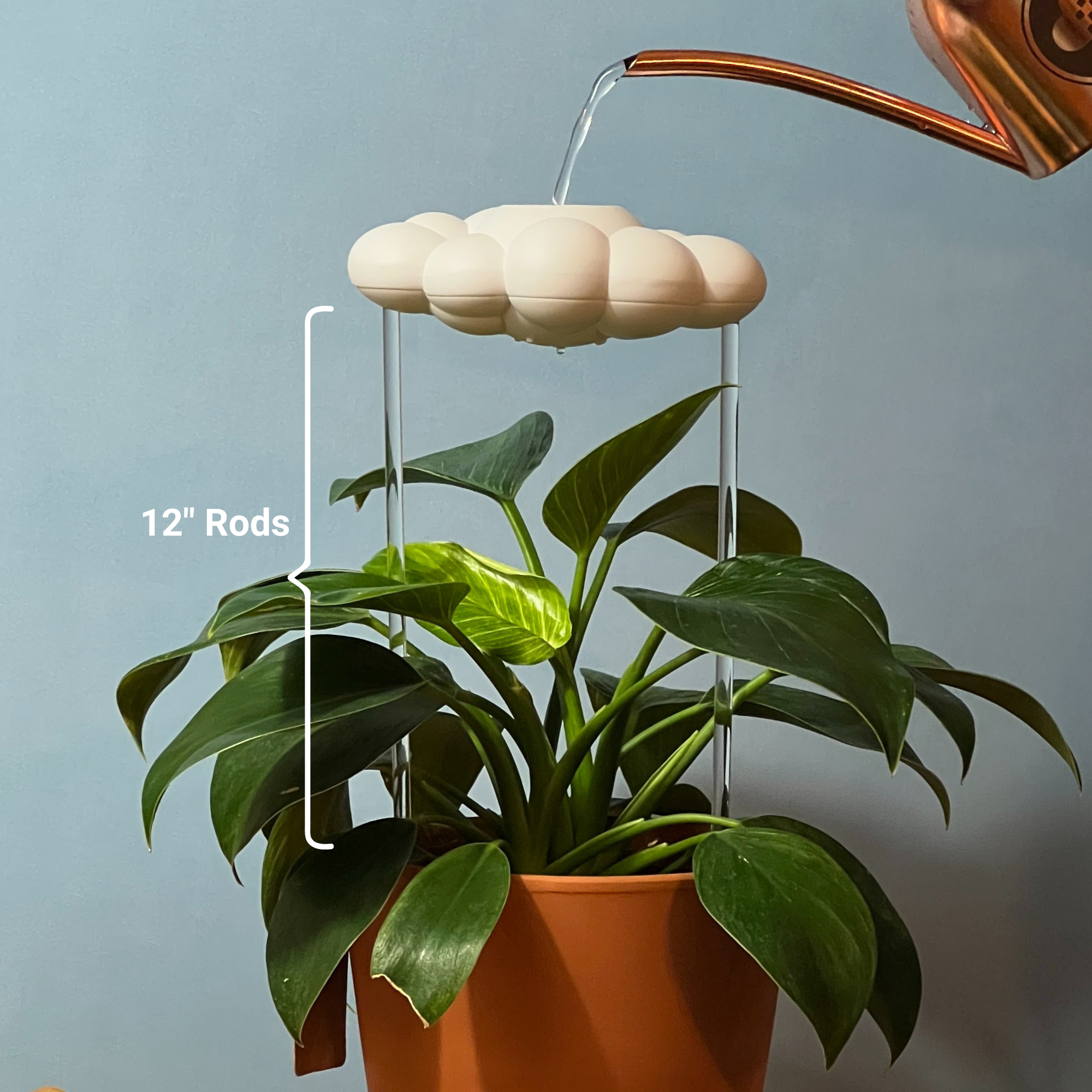 Dripping Rain Cloud with Orange Butterfly Charm