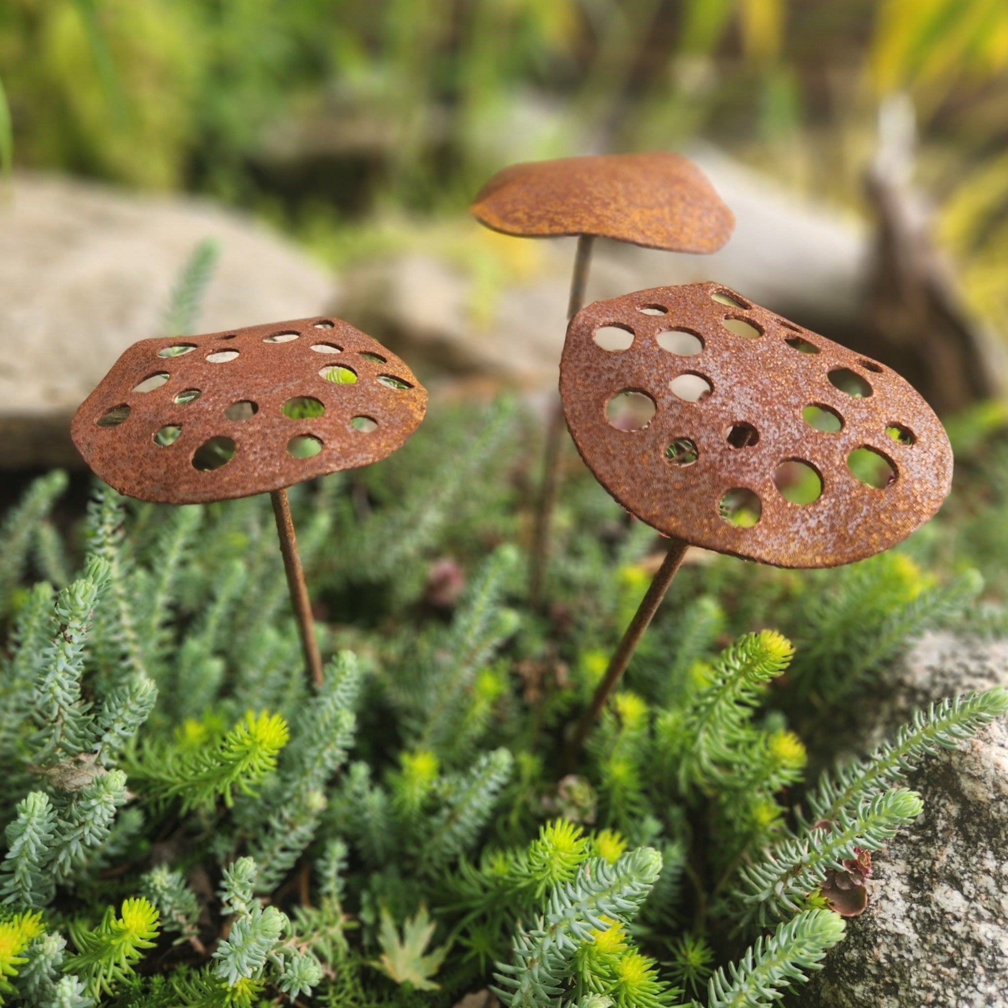 Rust-colored metal leaf-shaped garden markers among green plants Henderson Garden Supply