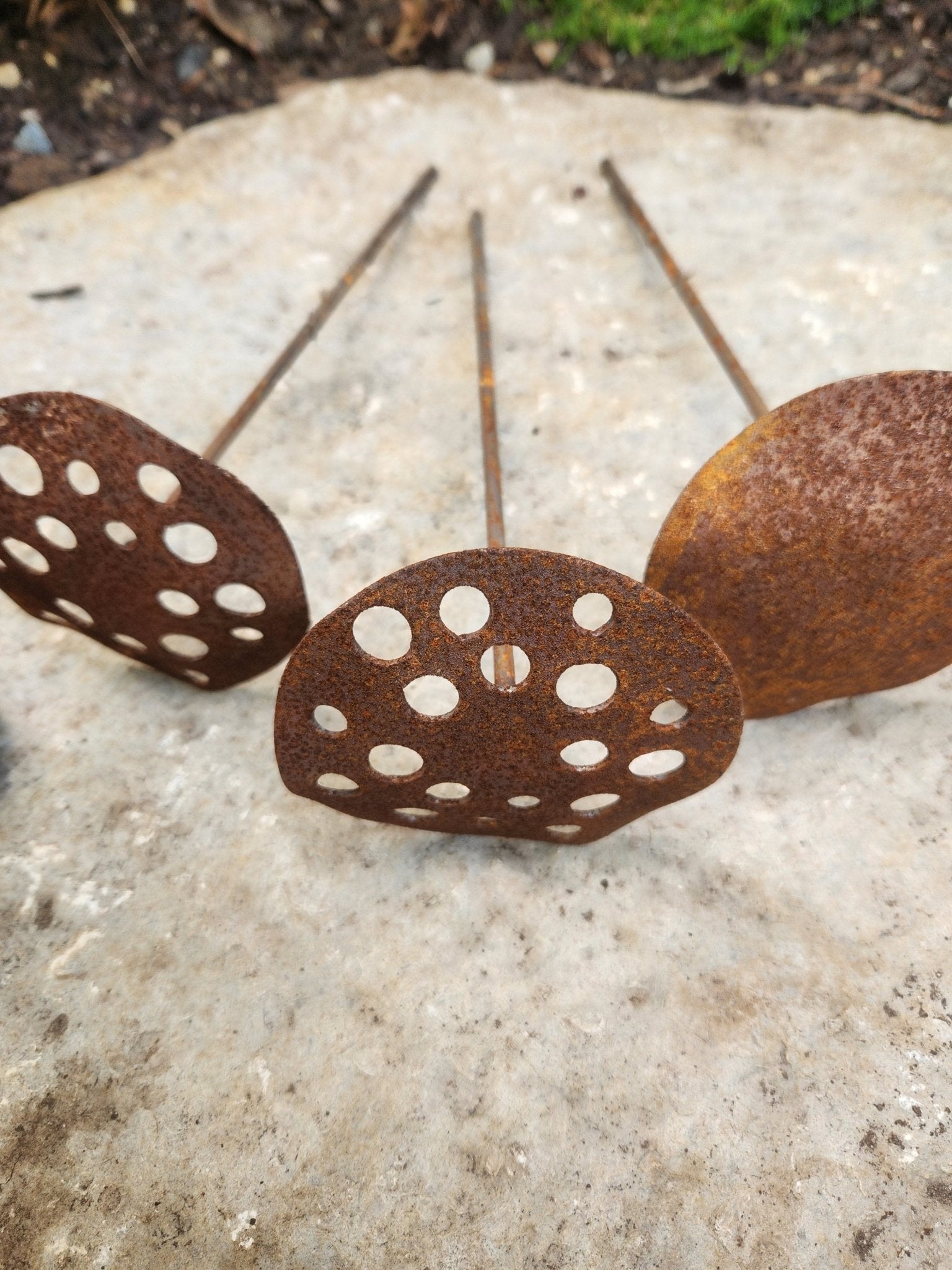 Rust-colored metal discs with holes on a concrete surface - Henderson Garden Supply