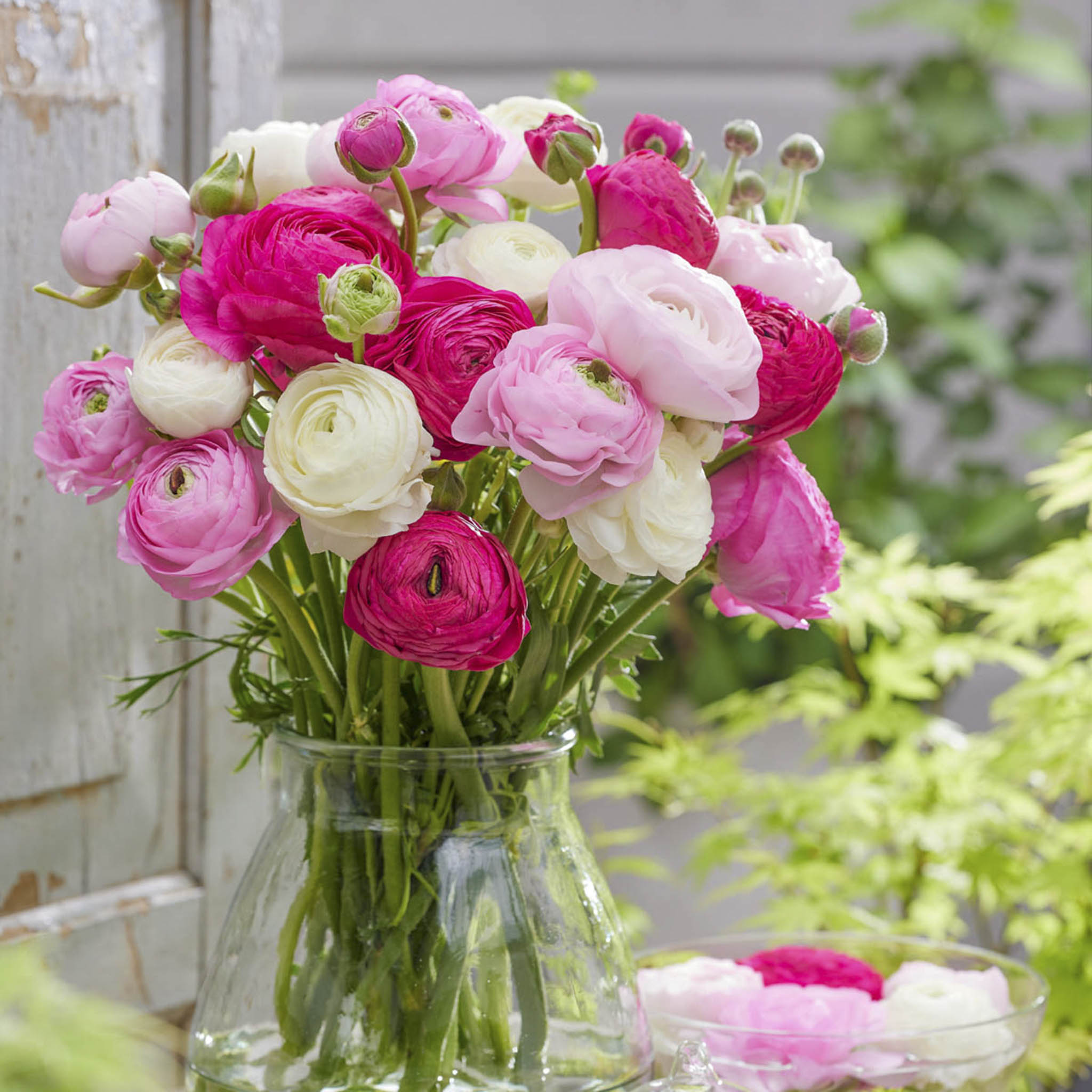 Bouquet of pink, white, and red flowers in a clear glass vase with a blurred green and white background. Henderson Garden Supply