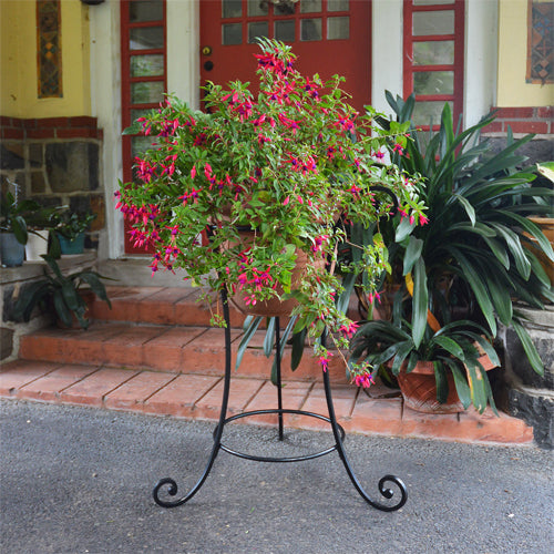 Pot or Basket Plant Stand - 3 sizes - Basket Not Included