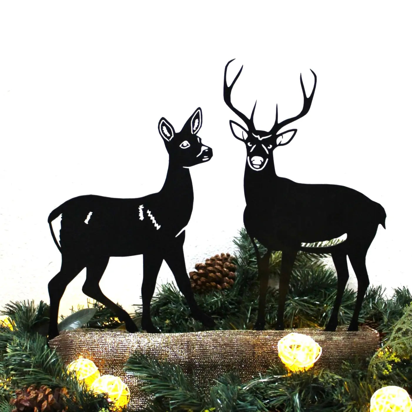 Doe Deer