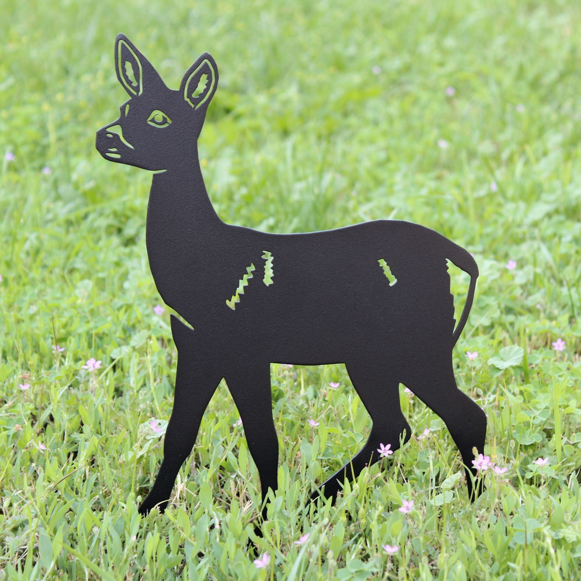 Doe Deer