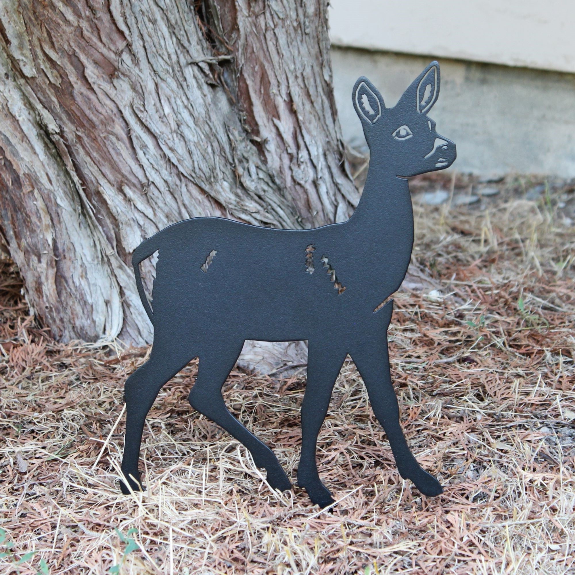 Doe Deer