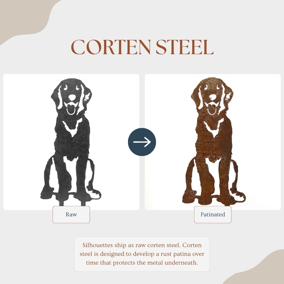 Retriever - Flat Coated