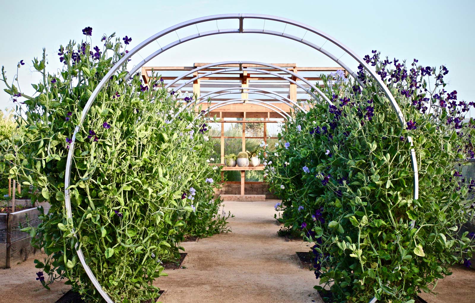 Modern Circle Arbor