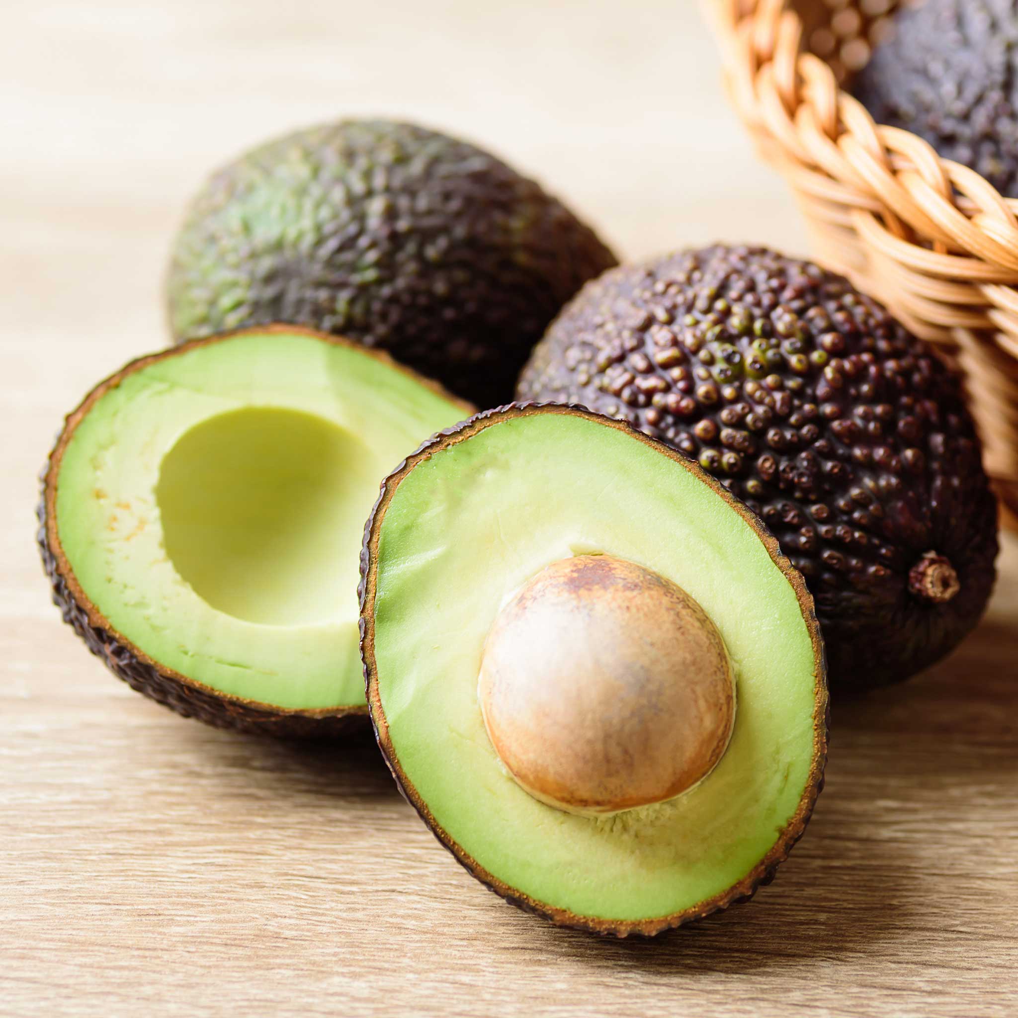 Hass Avocado Tree | Fruiting Avocado