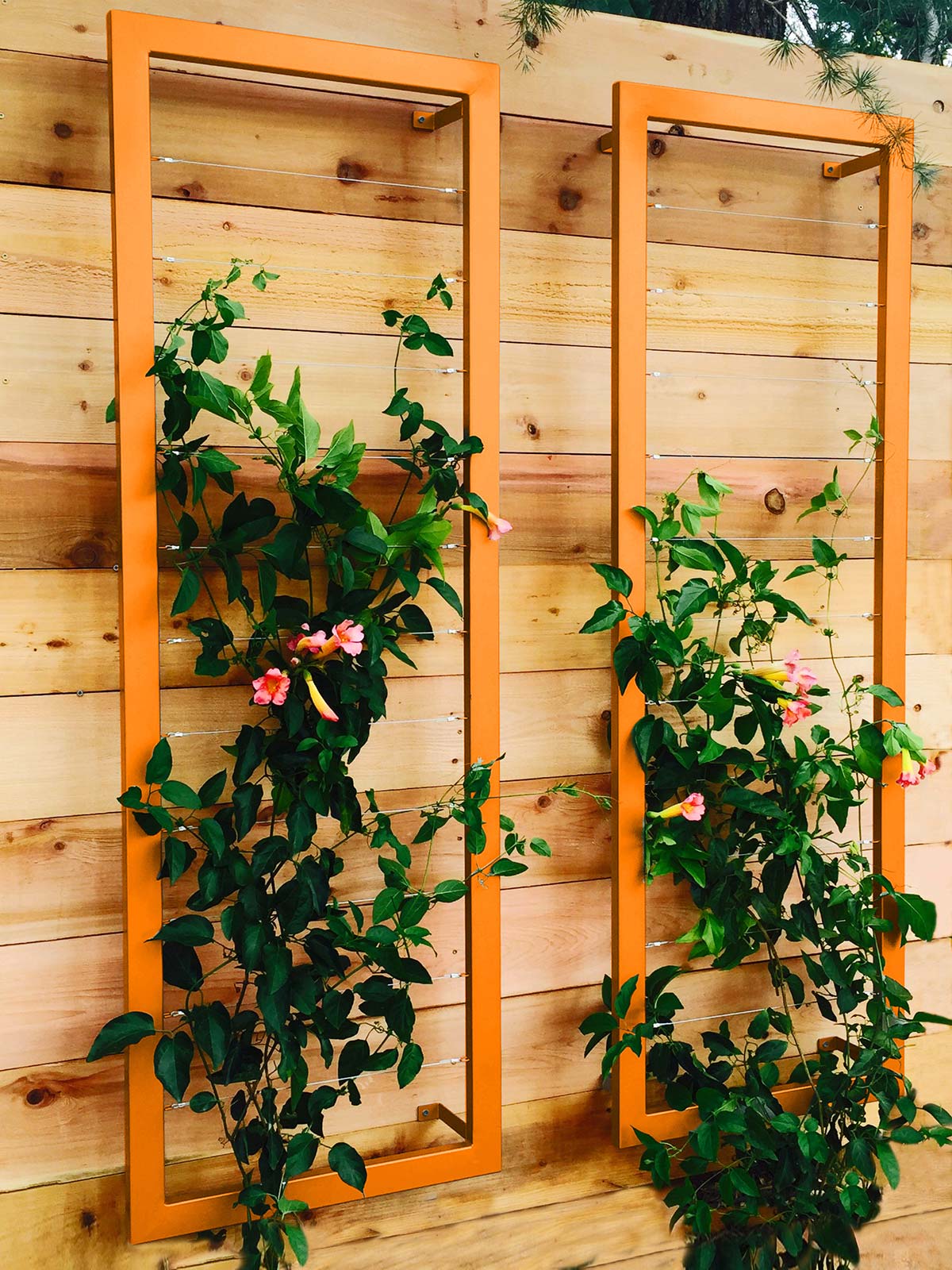 Large Wall Trellis