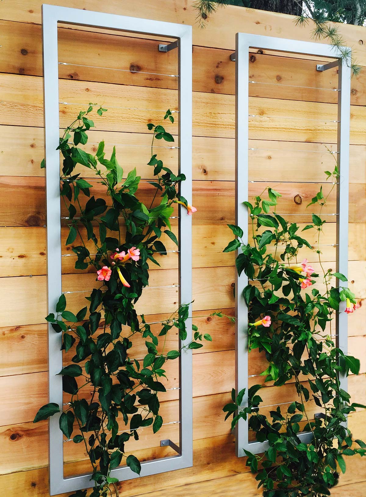 Large Wall Trellis