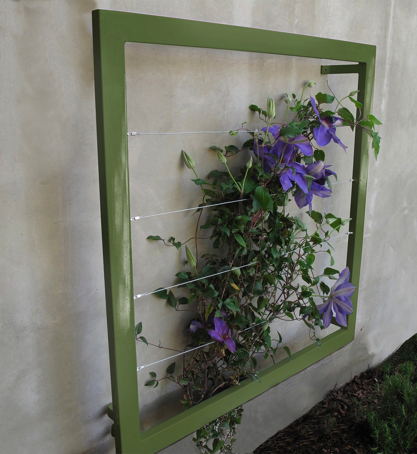 Medium Wall Trellis