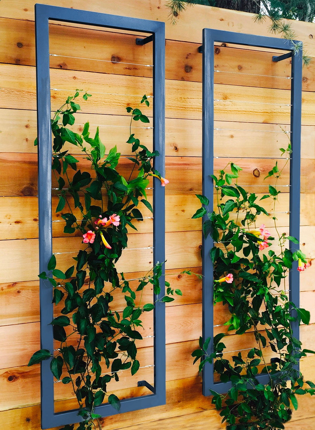 Large Wall Trellis
