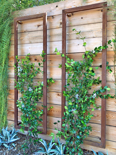 wall wooden trellis Wall Trellis - Large
