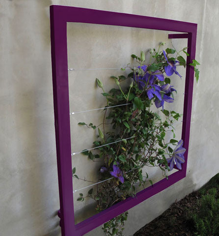 Medium Wall Trellis