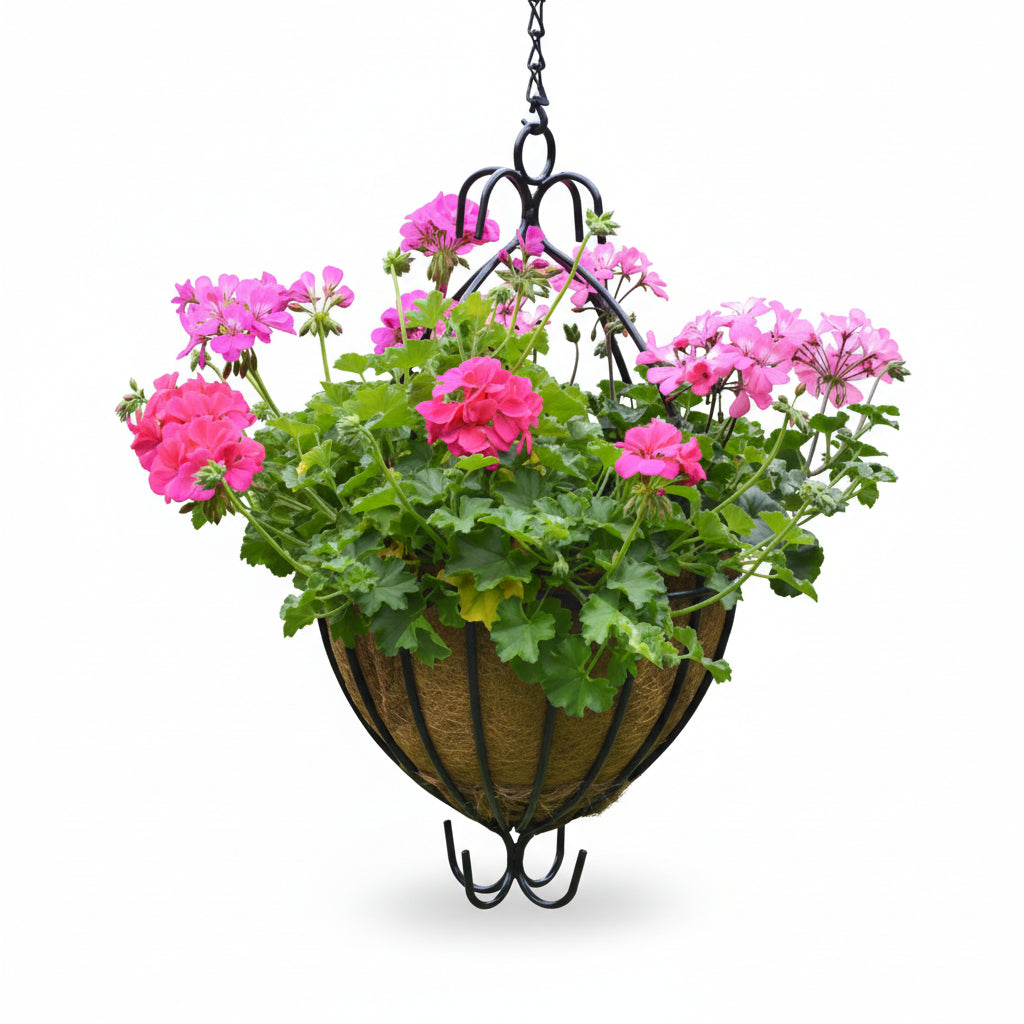 A Spanish Hanging Basket with a 16-inch diameter, filled with pink flowers, set against a garden backdrop. Henderson Garden Supply