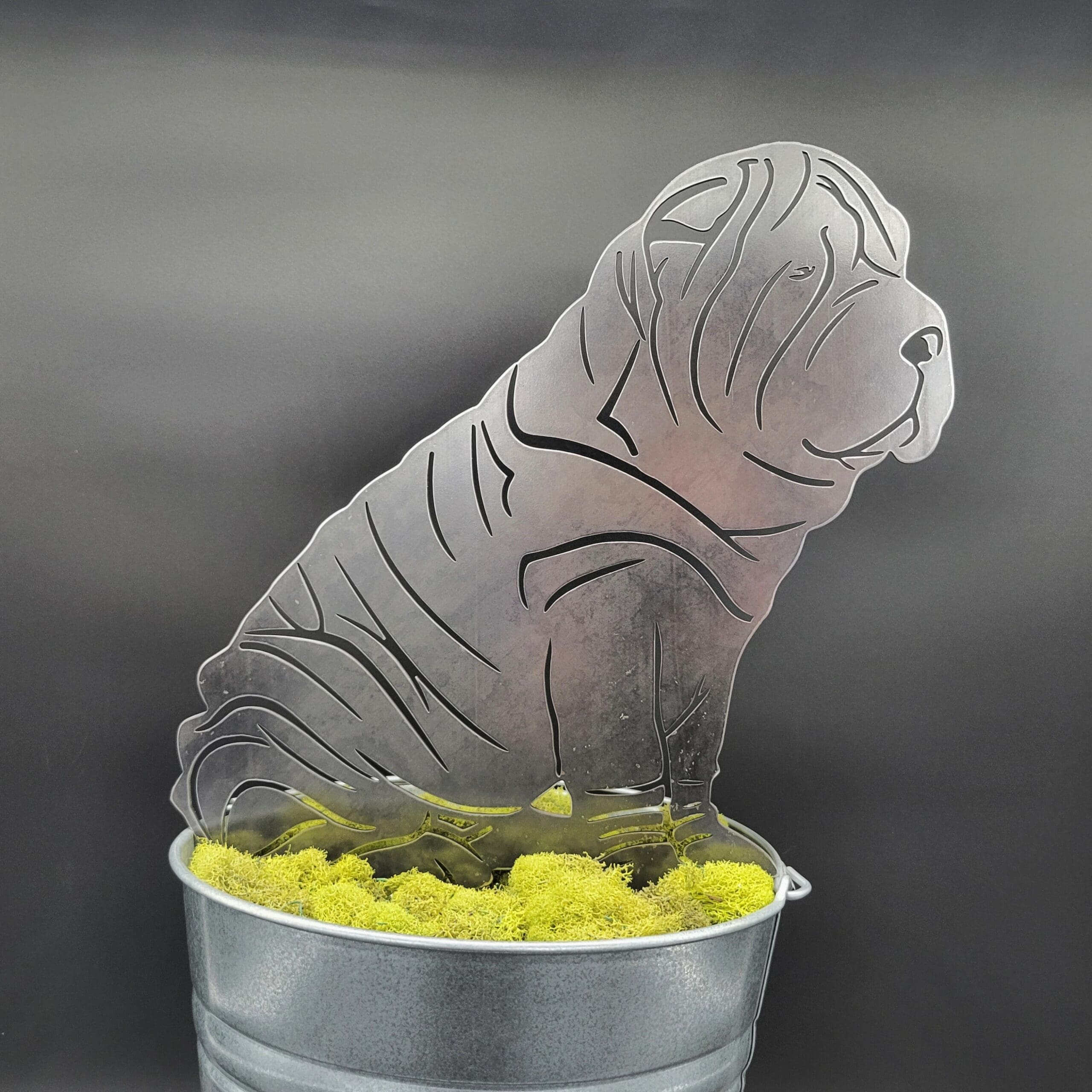 Shar Pei