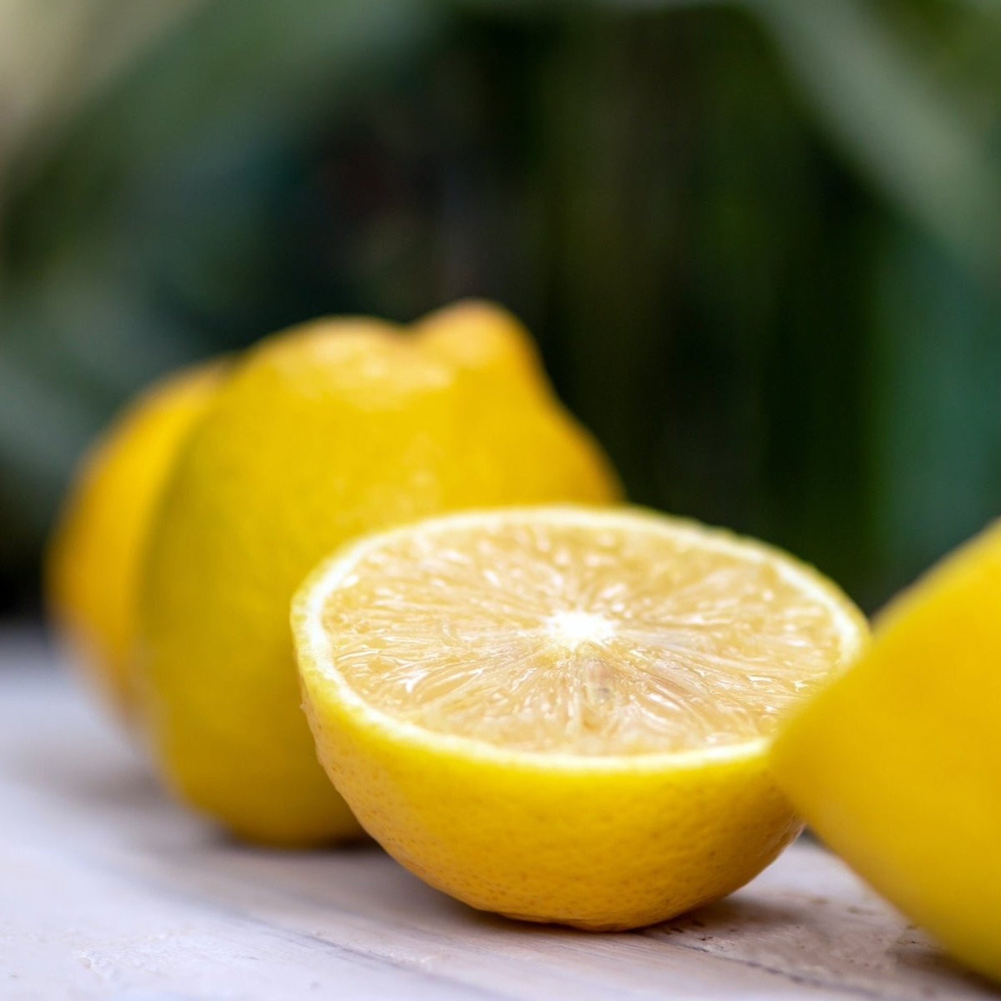Close-up of lemons with a blurred green background. Henderson Garden Supply