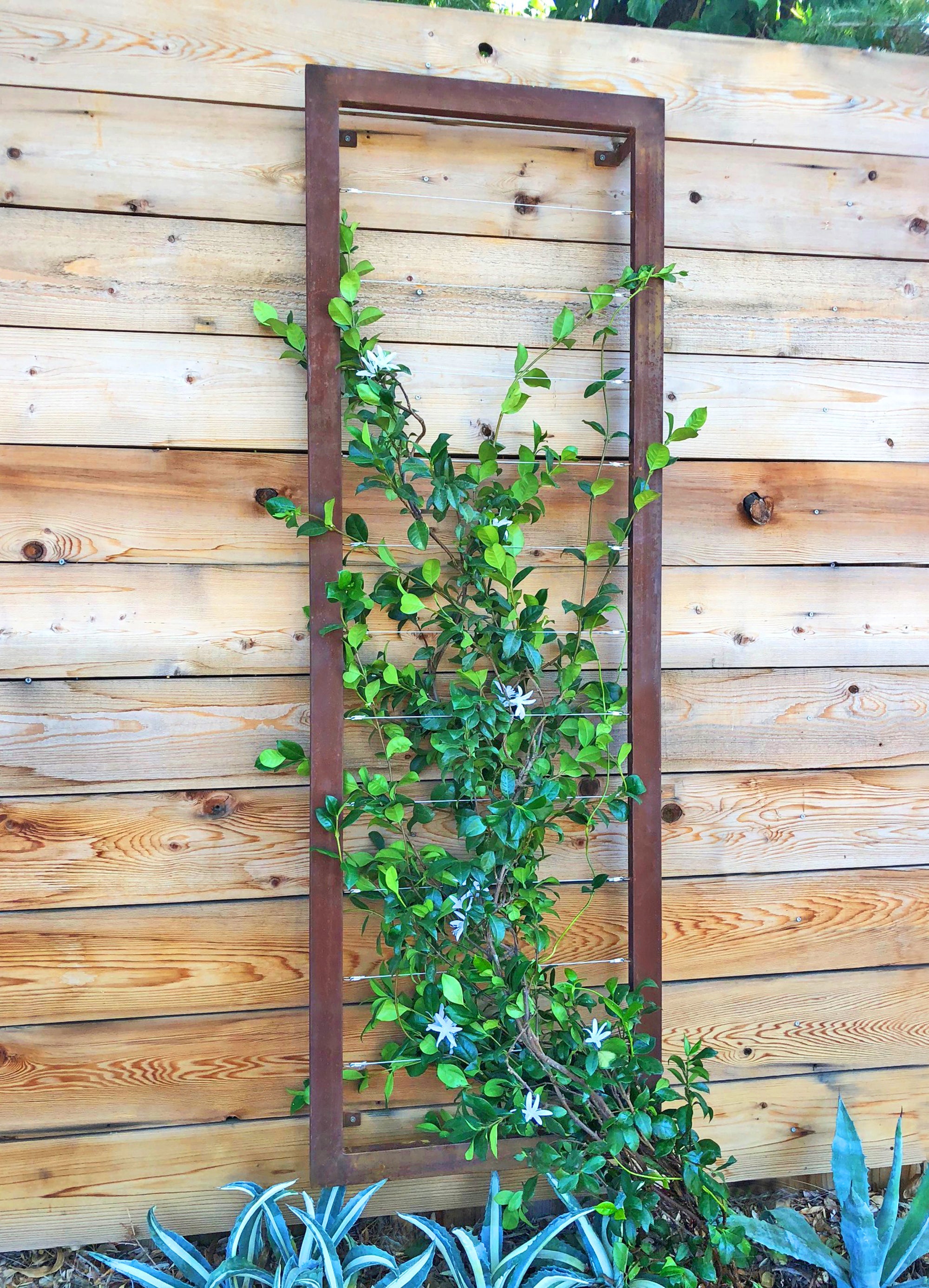 Large Wall Trellis