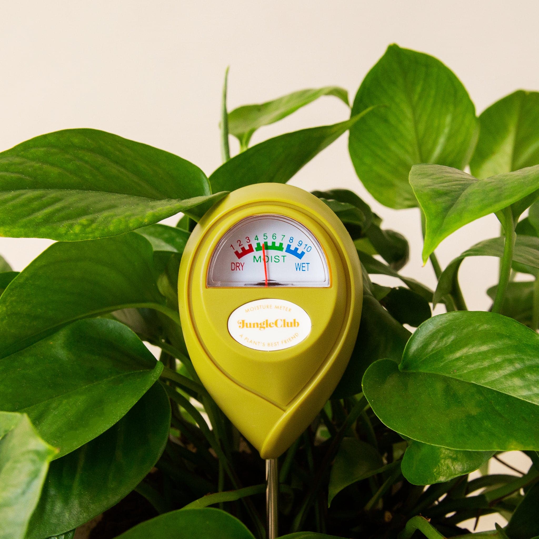 Green plant with a yellow soil moisture meter labeled 'Jungle Club' on a light background. Henderson Garden Supply