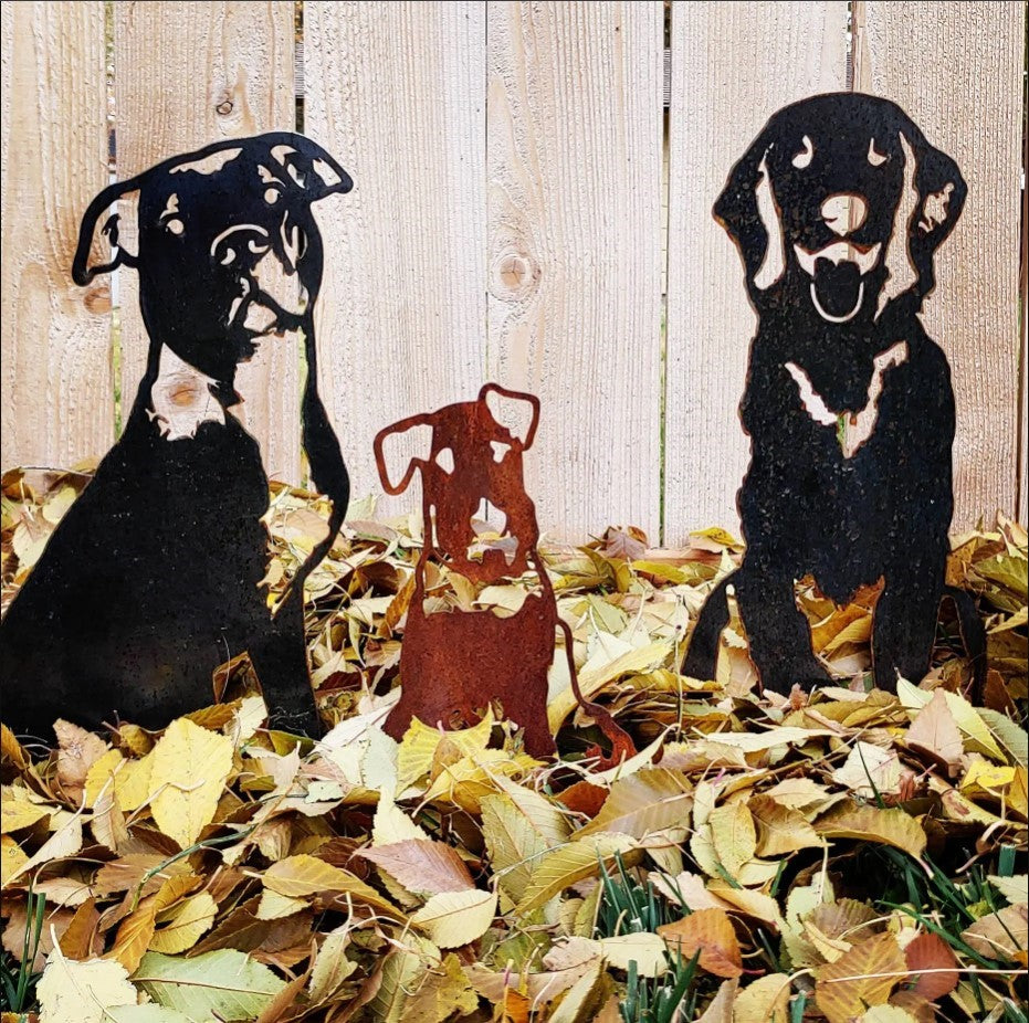 Retriever - Flat Coated