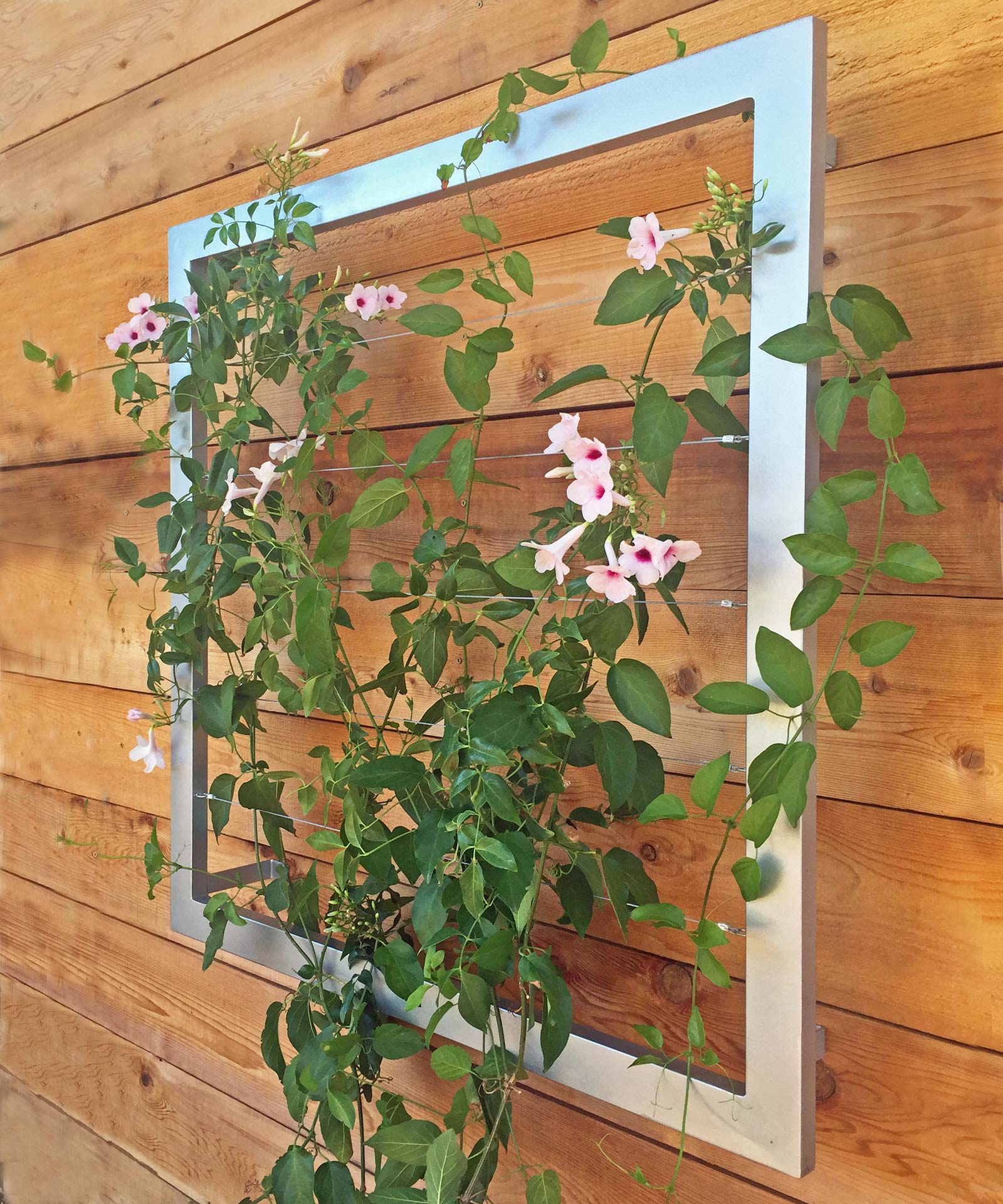 Medium Wall Trellis