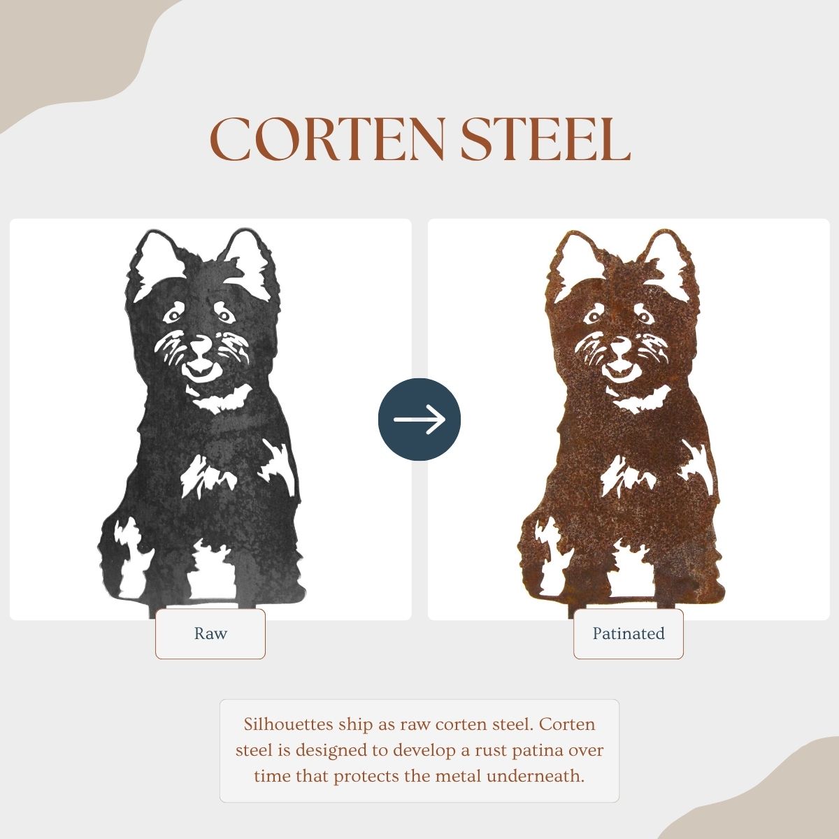 Cairn Terrier