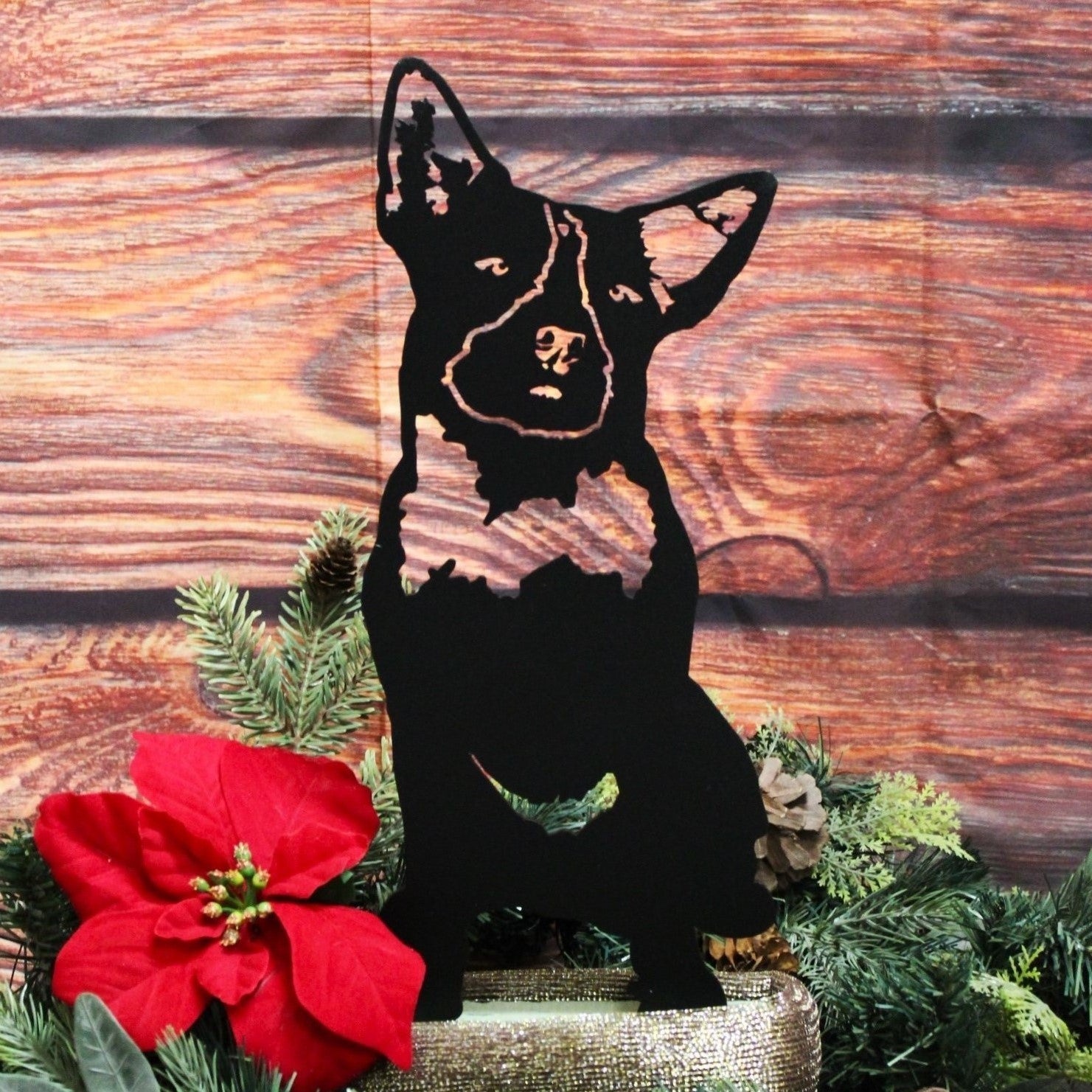 Australian Cattle Dog