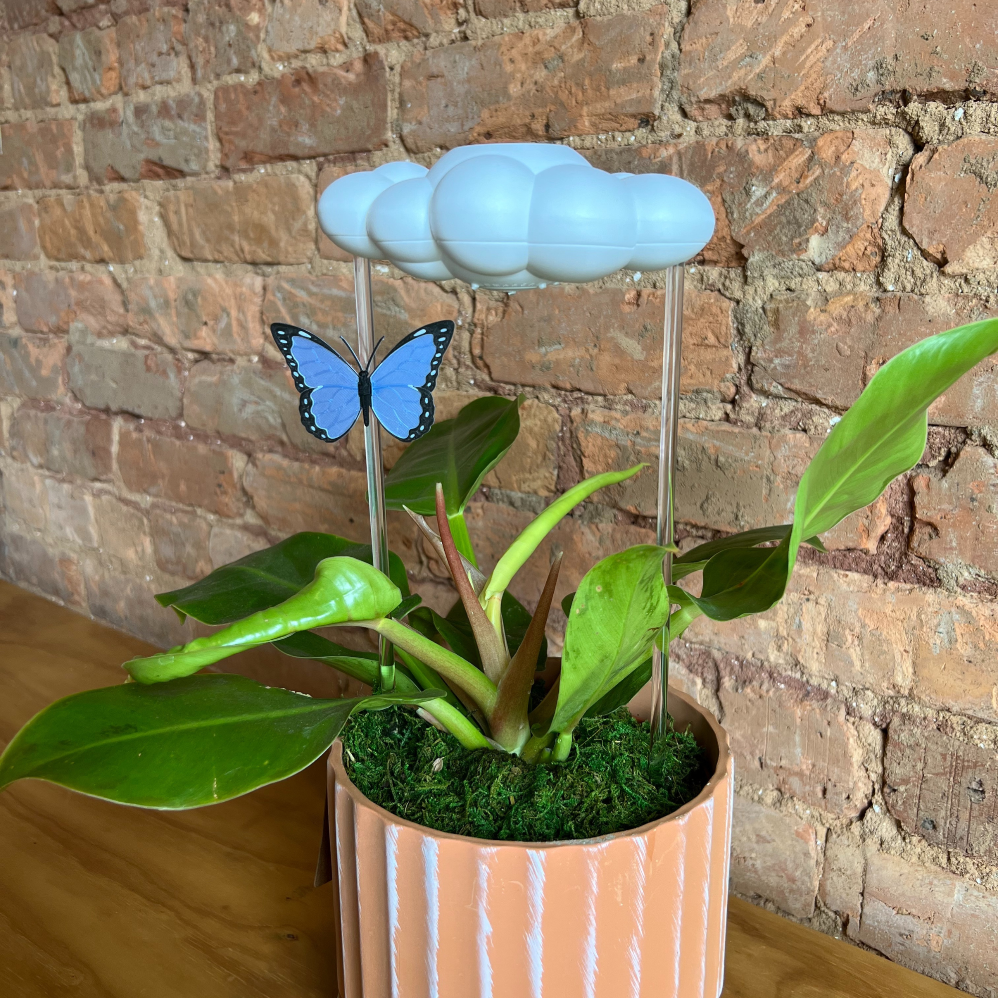 Dripping Rain Cloud with Blue Butterfly Charm