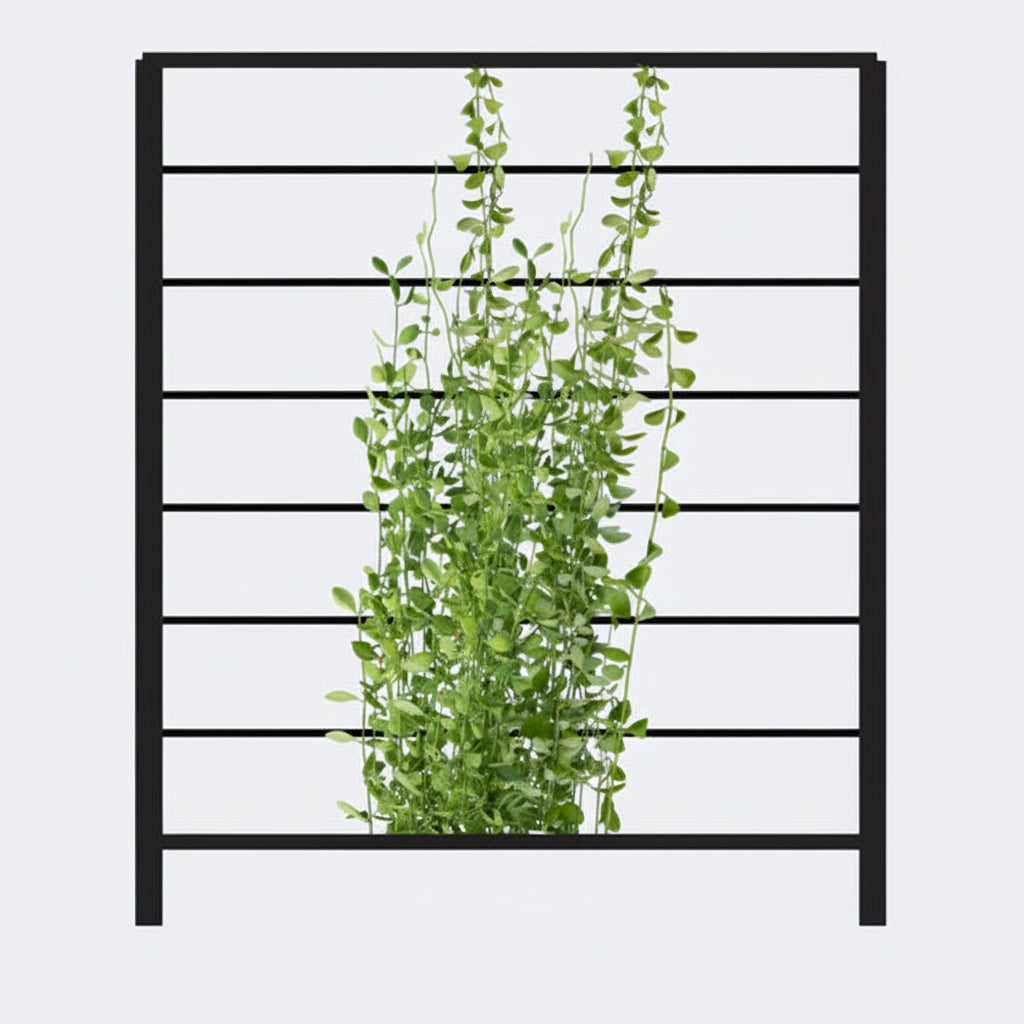 Black metal trellis with green climbing plant on a white background. Henderson Garden Supply