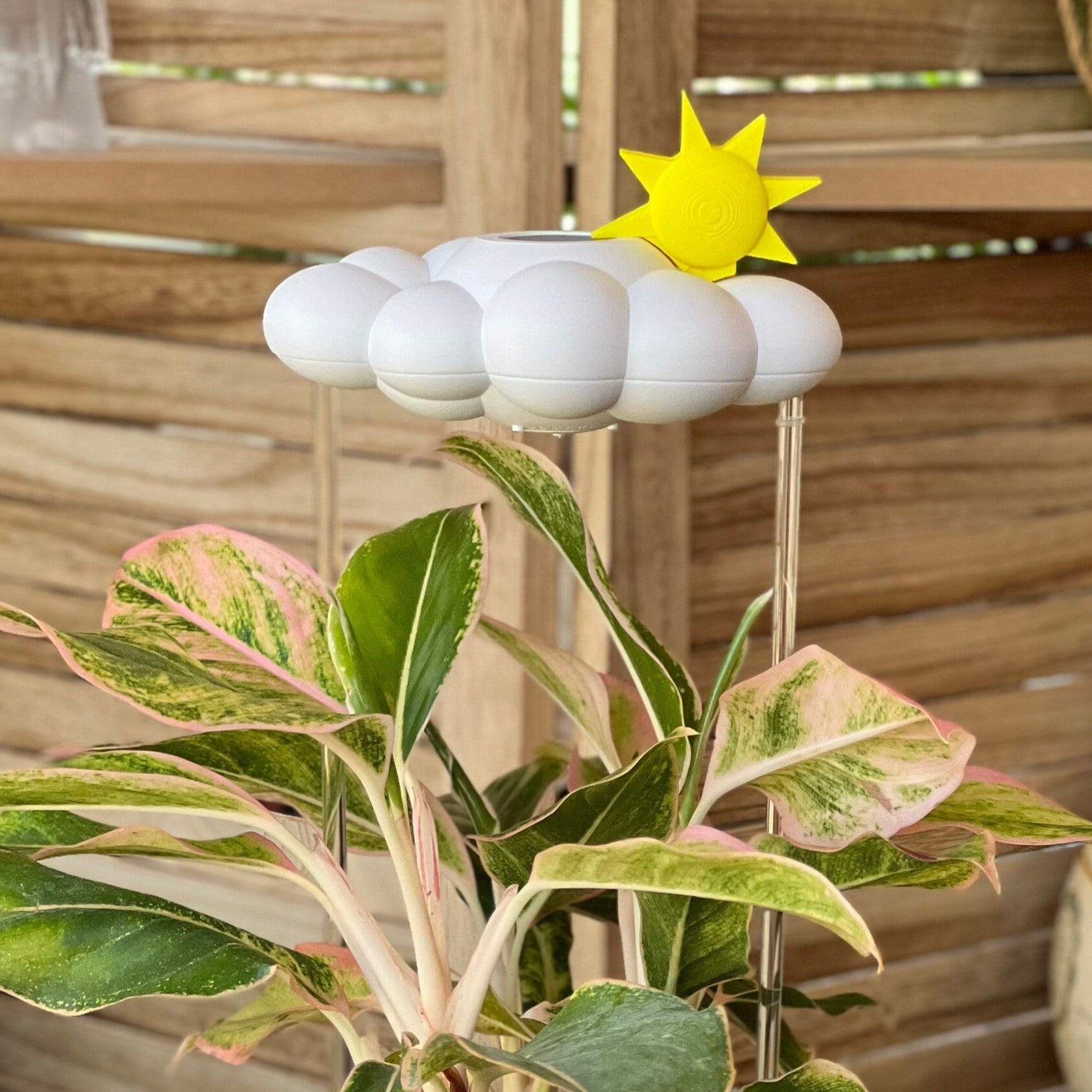 Dripping Rain Cloud with Sun Charm