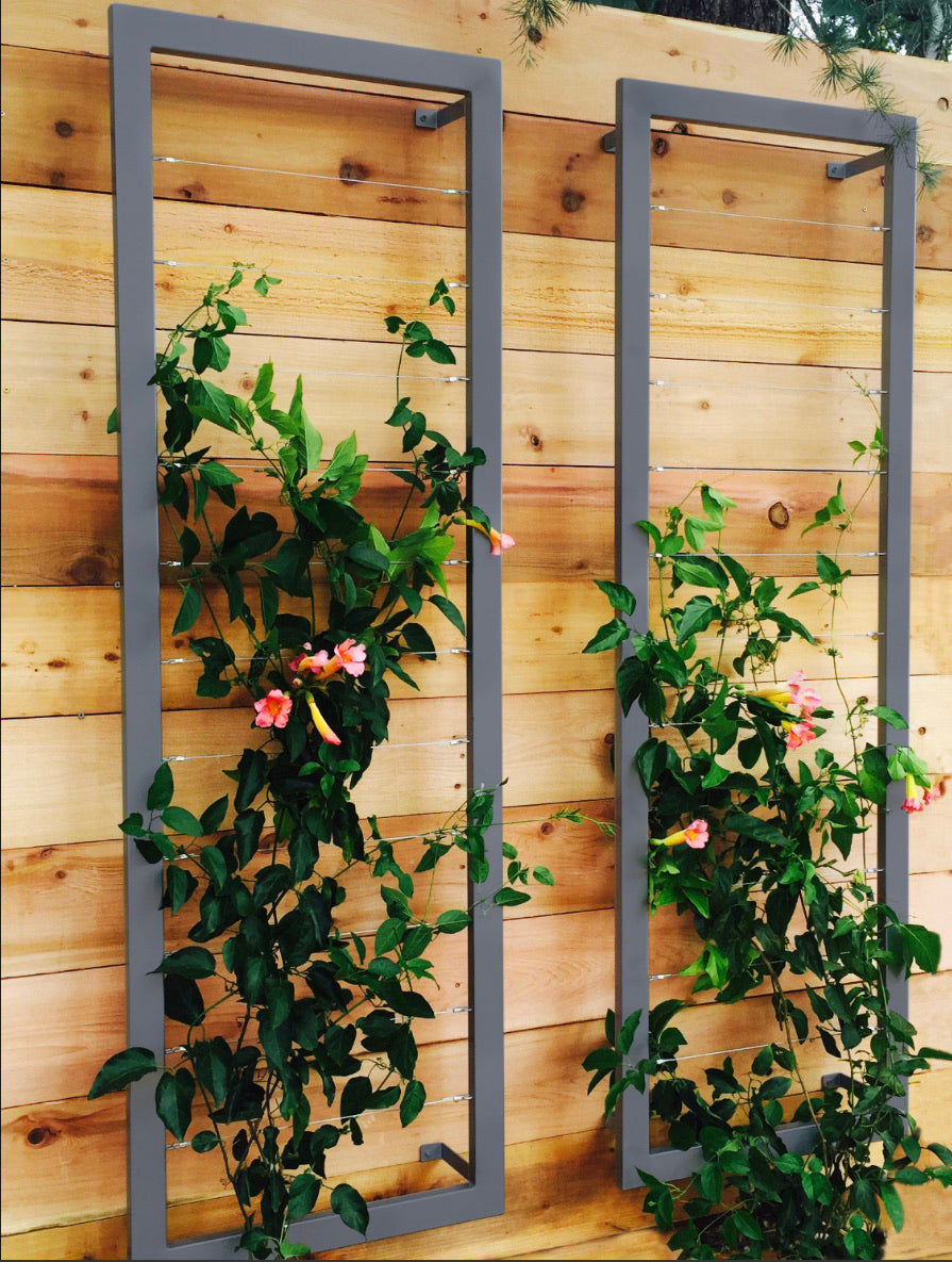 Large Wall Trellis