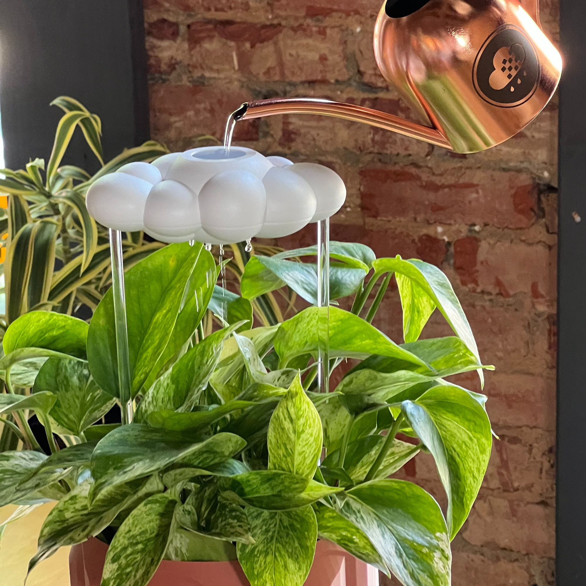 Original Dripping Rain Cloud