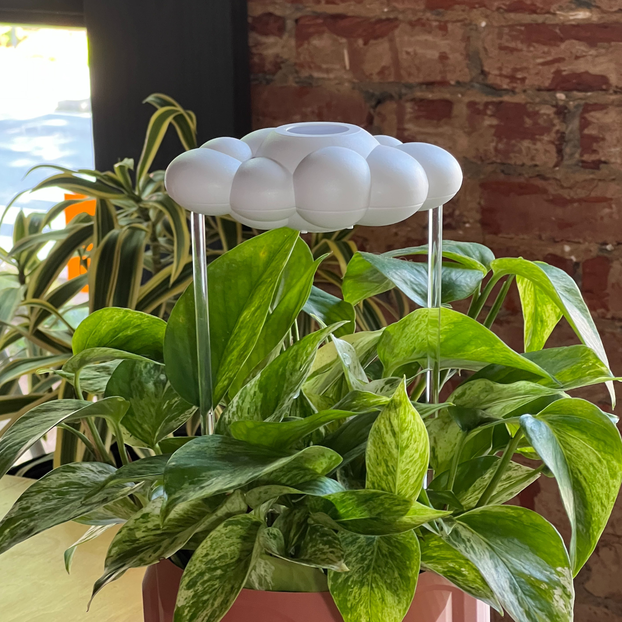 Original Dripping Rain Cloud