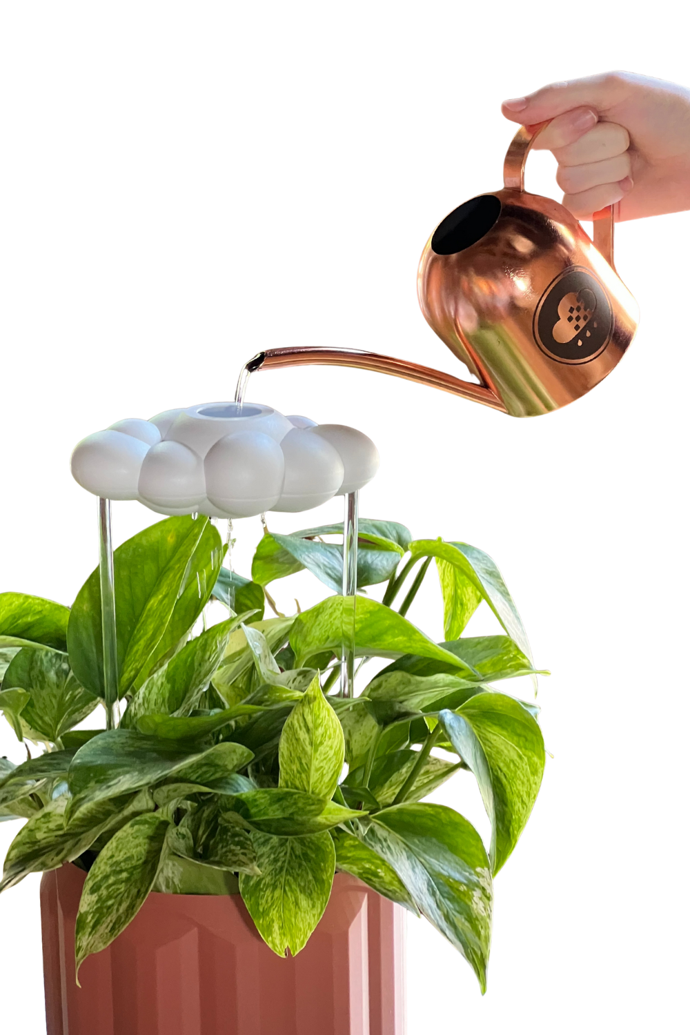 Original Dripping Rain Cloud