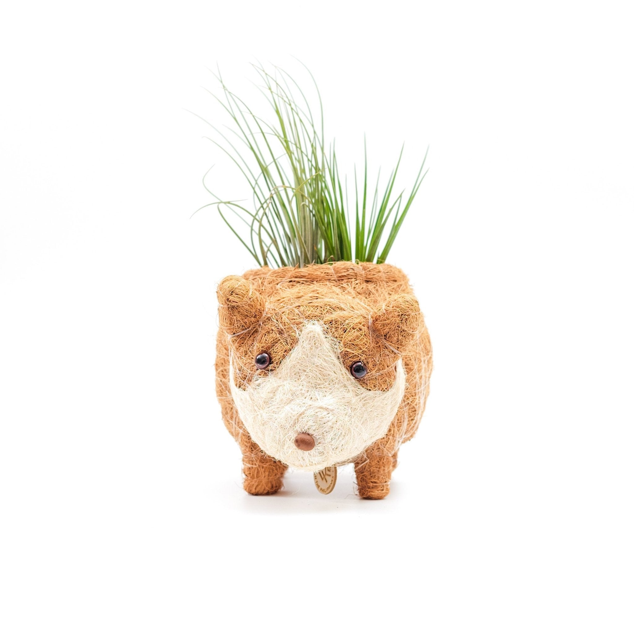 Corgi coco fiber planter - Henderson Garden Supply