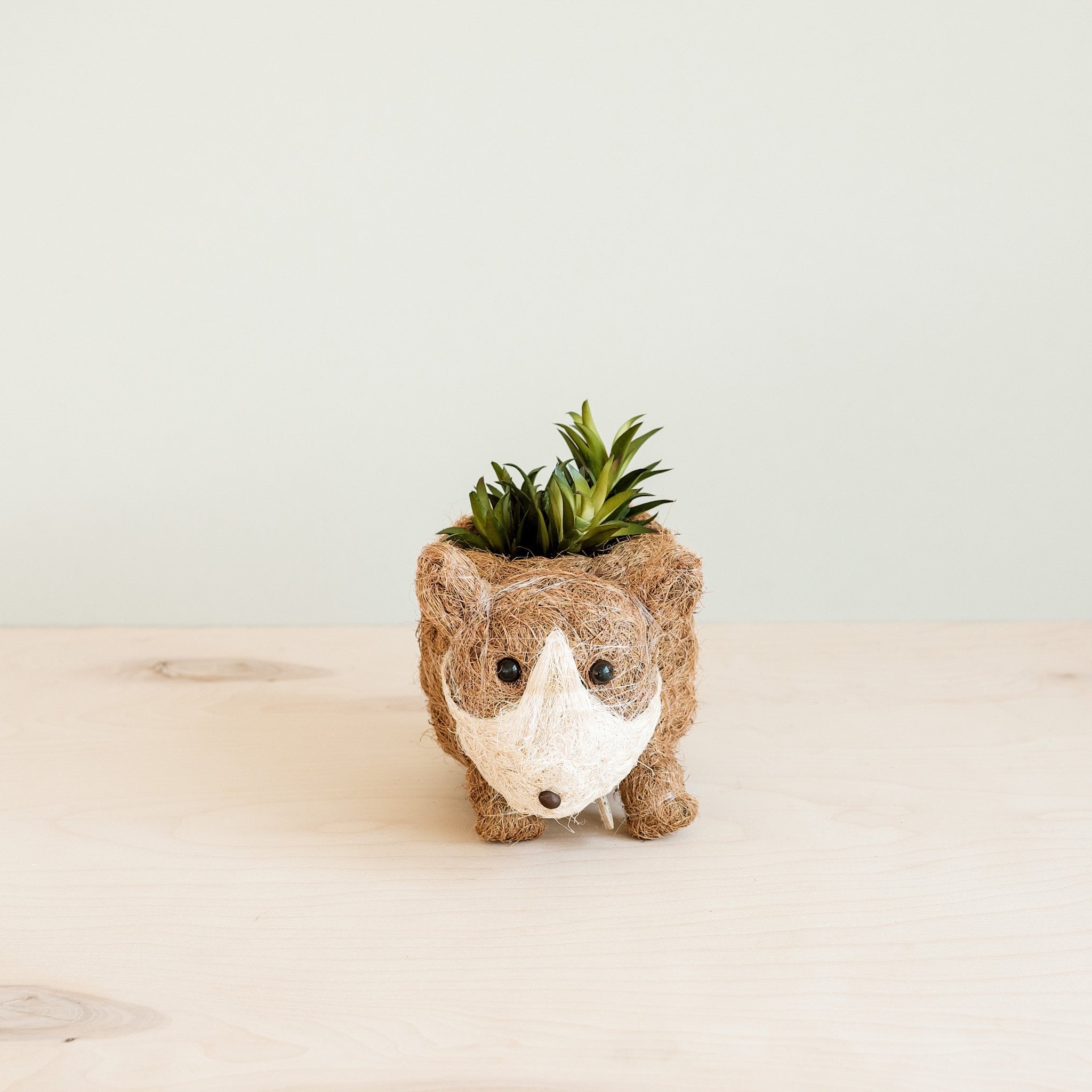 Corgi coco fiber planter - Henderson Garden Supply