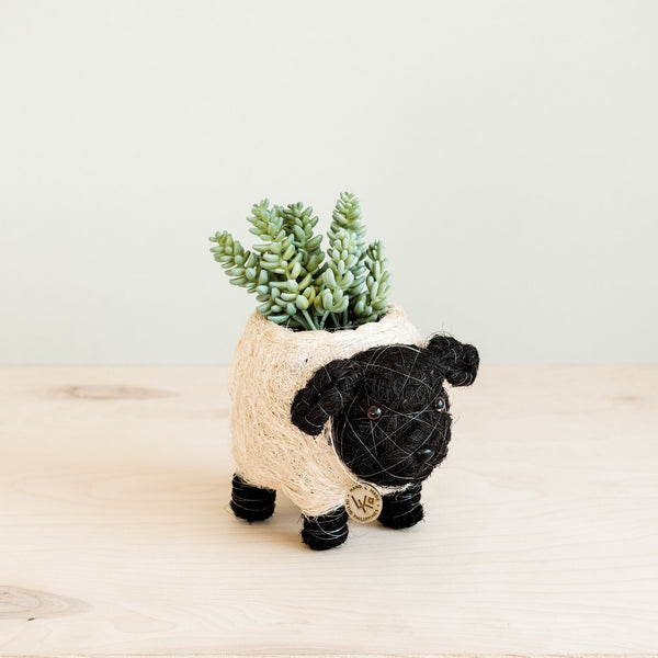 Baby Sheep Coco Fiber Planter - Henderson Garden Supply