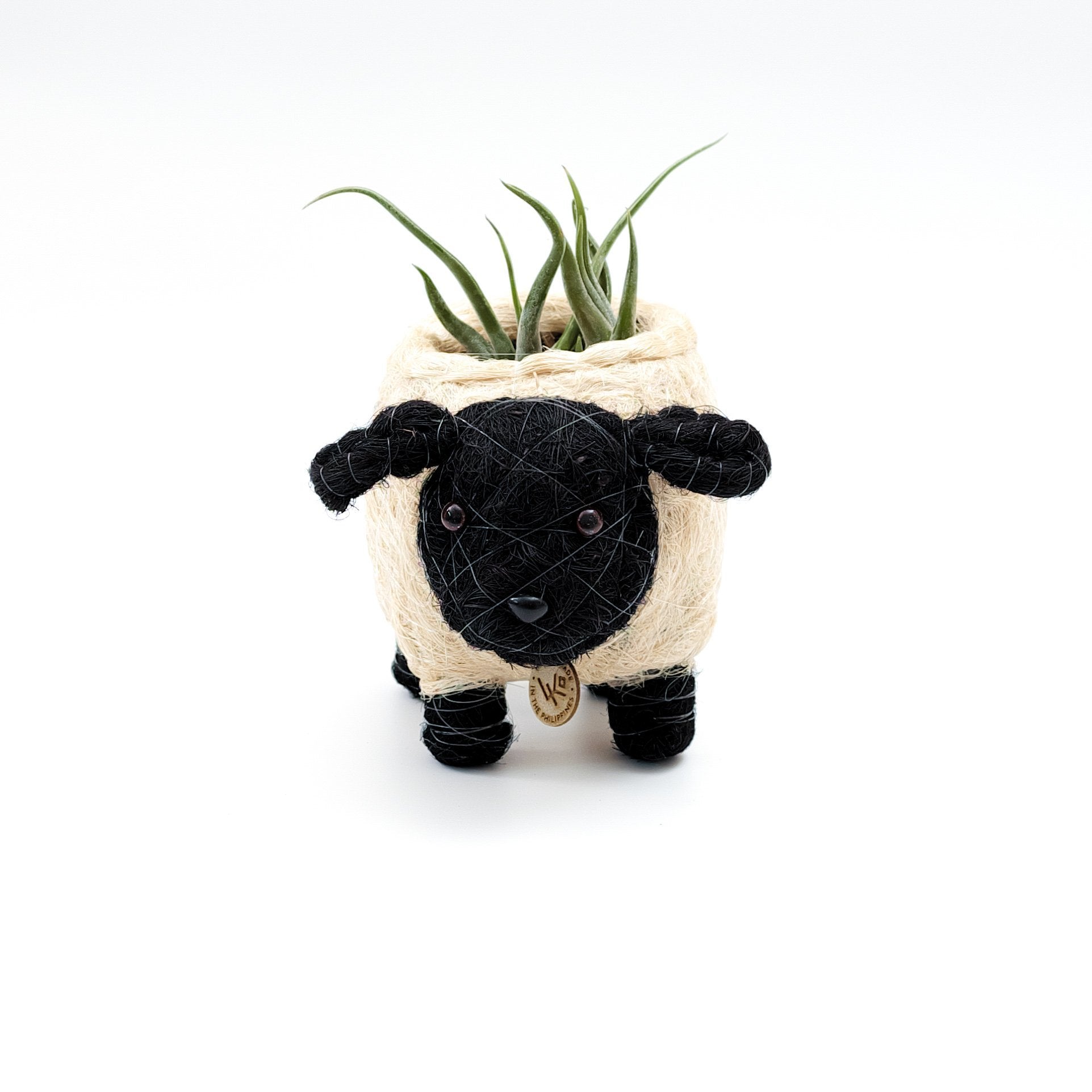 Baby Sheep Coco Fiber Planter - Henderson Garden Supply