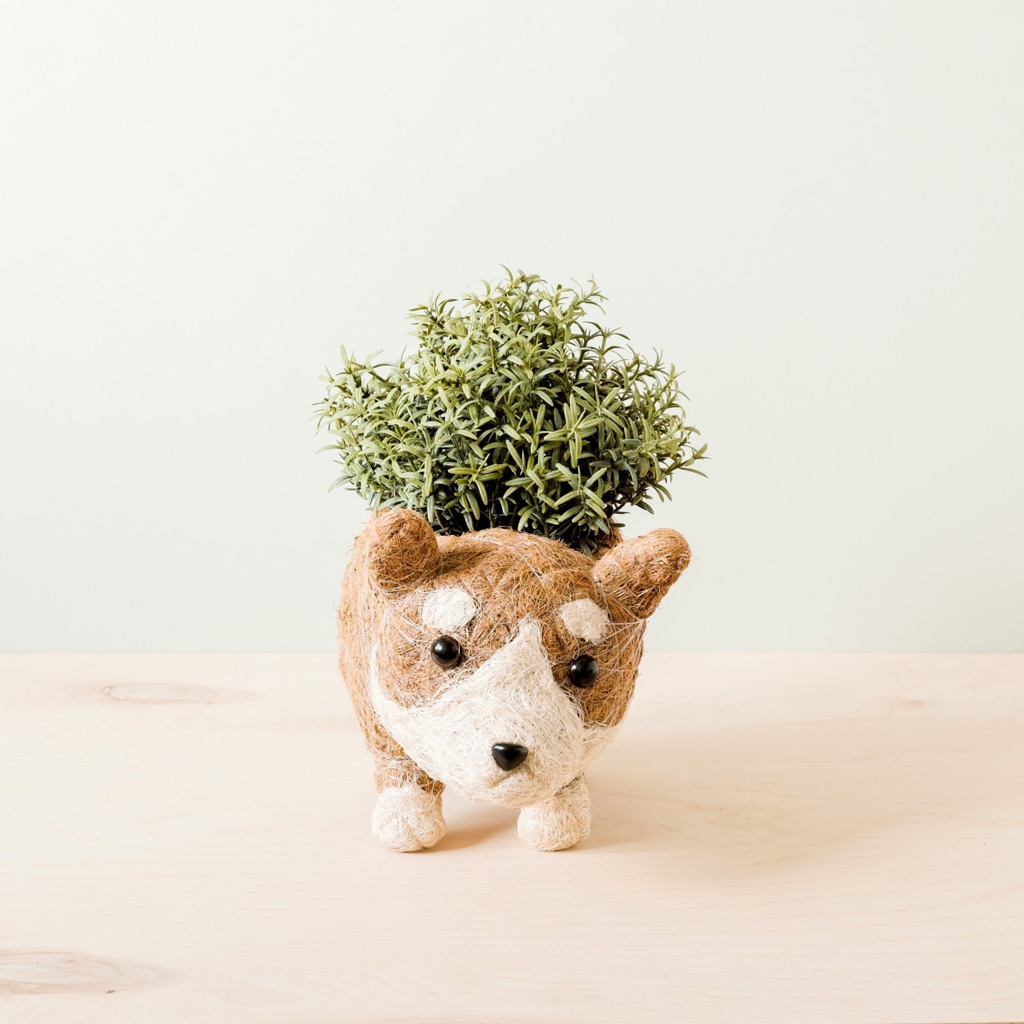 Corgi Coco Fiber Planter - Henderson Garden Supply